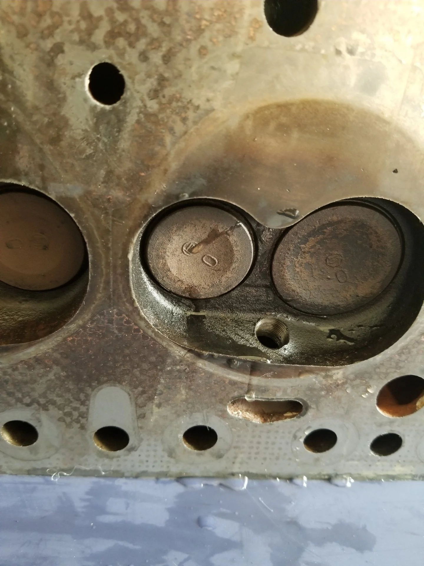 20191008_163532.jpg