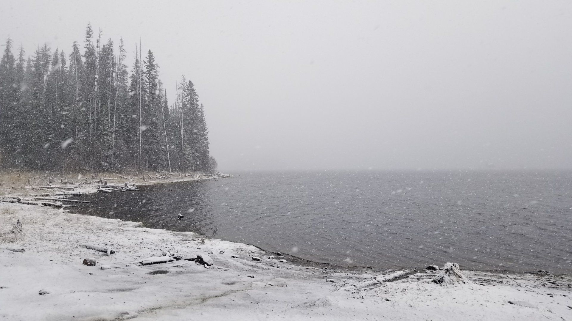 20191020_140342.jpg
