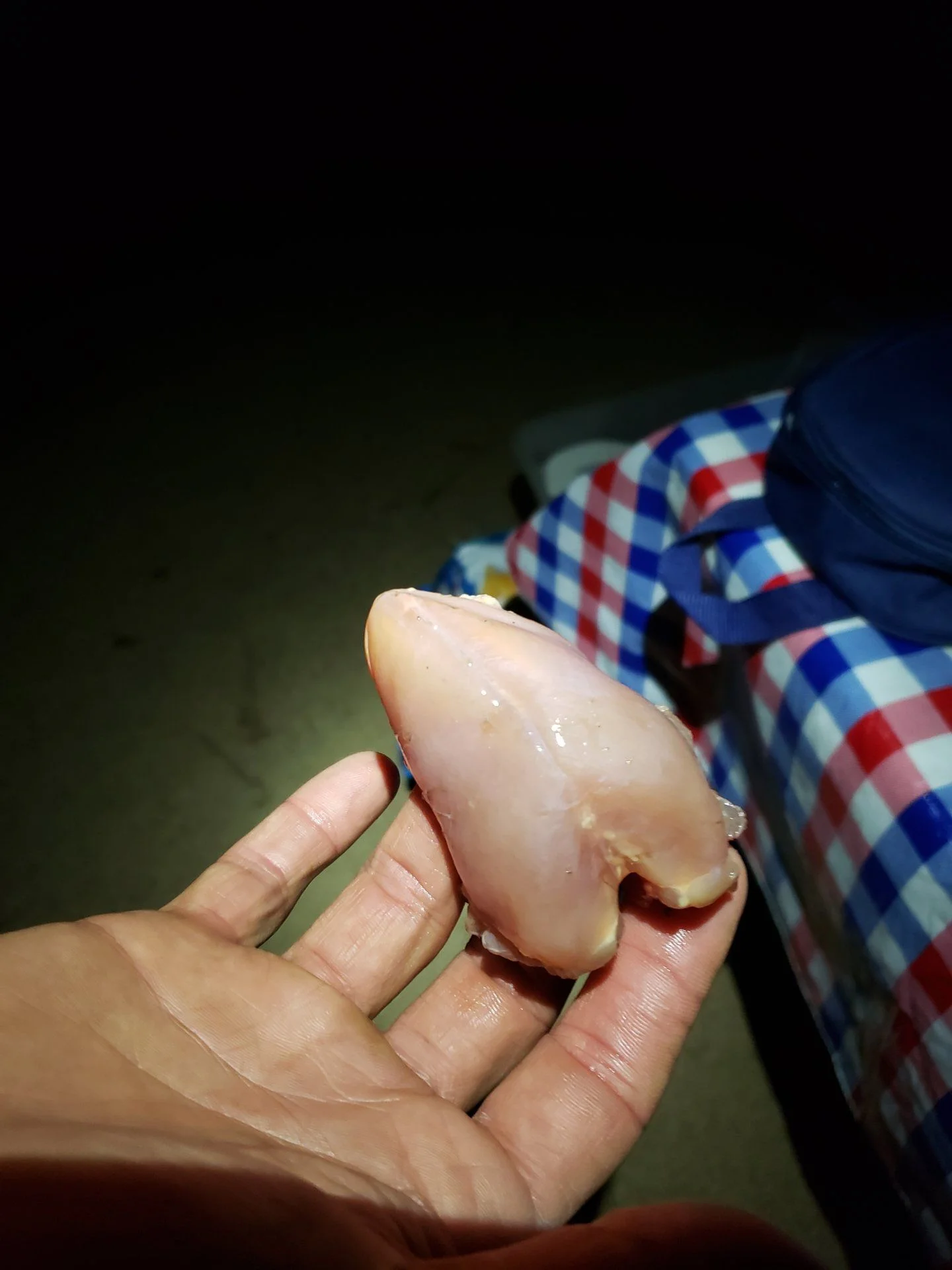 20191022_203445.webp