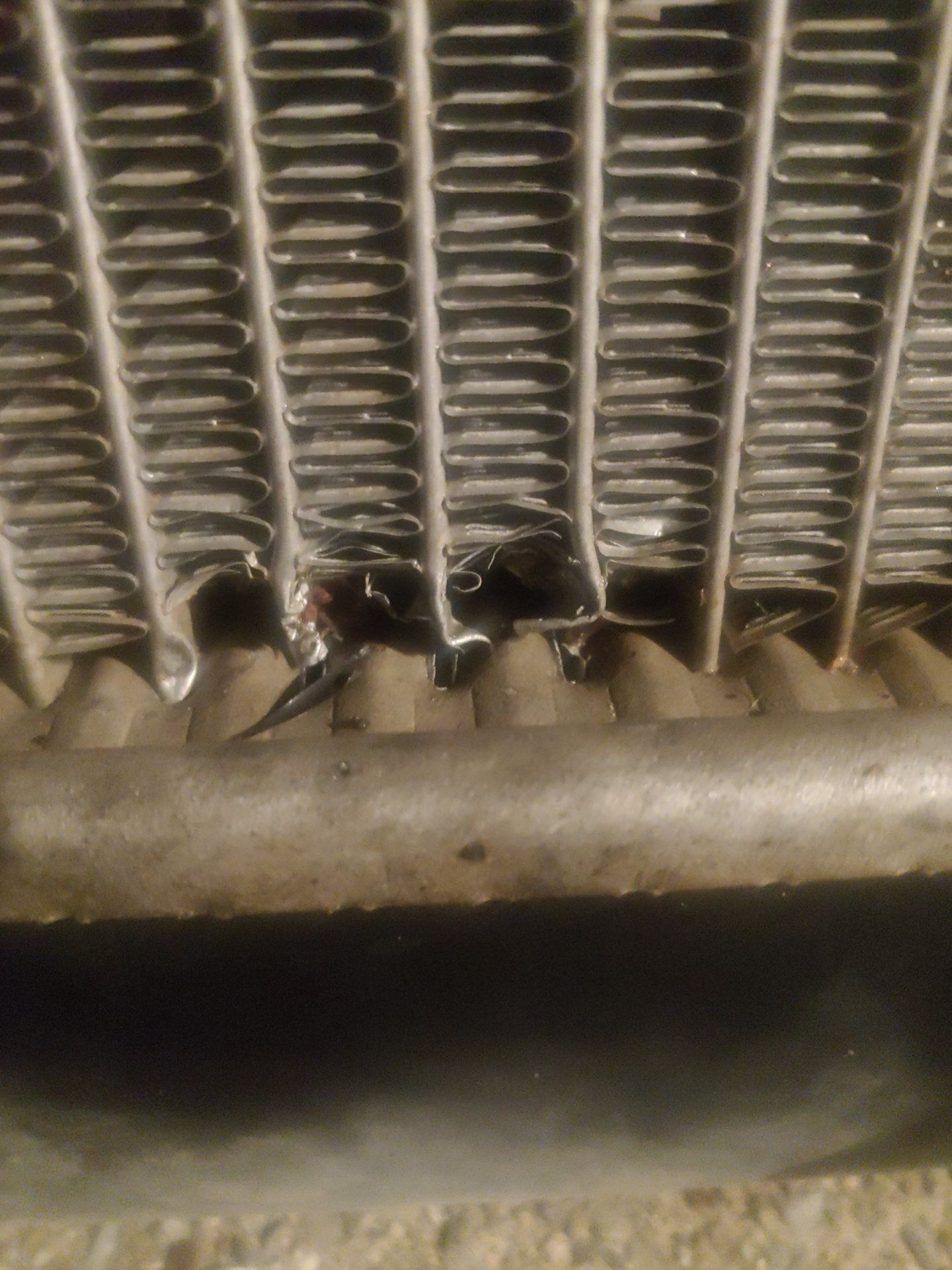 20191024_011039.jpg