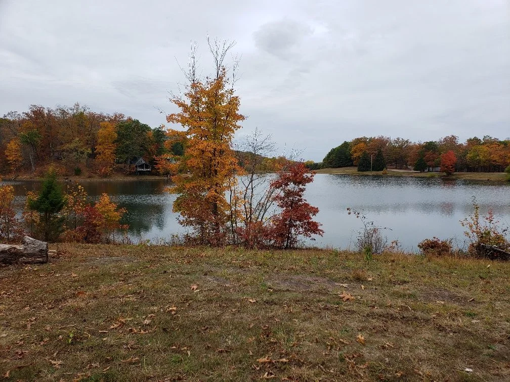 20191026_134503_resized.webp