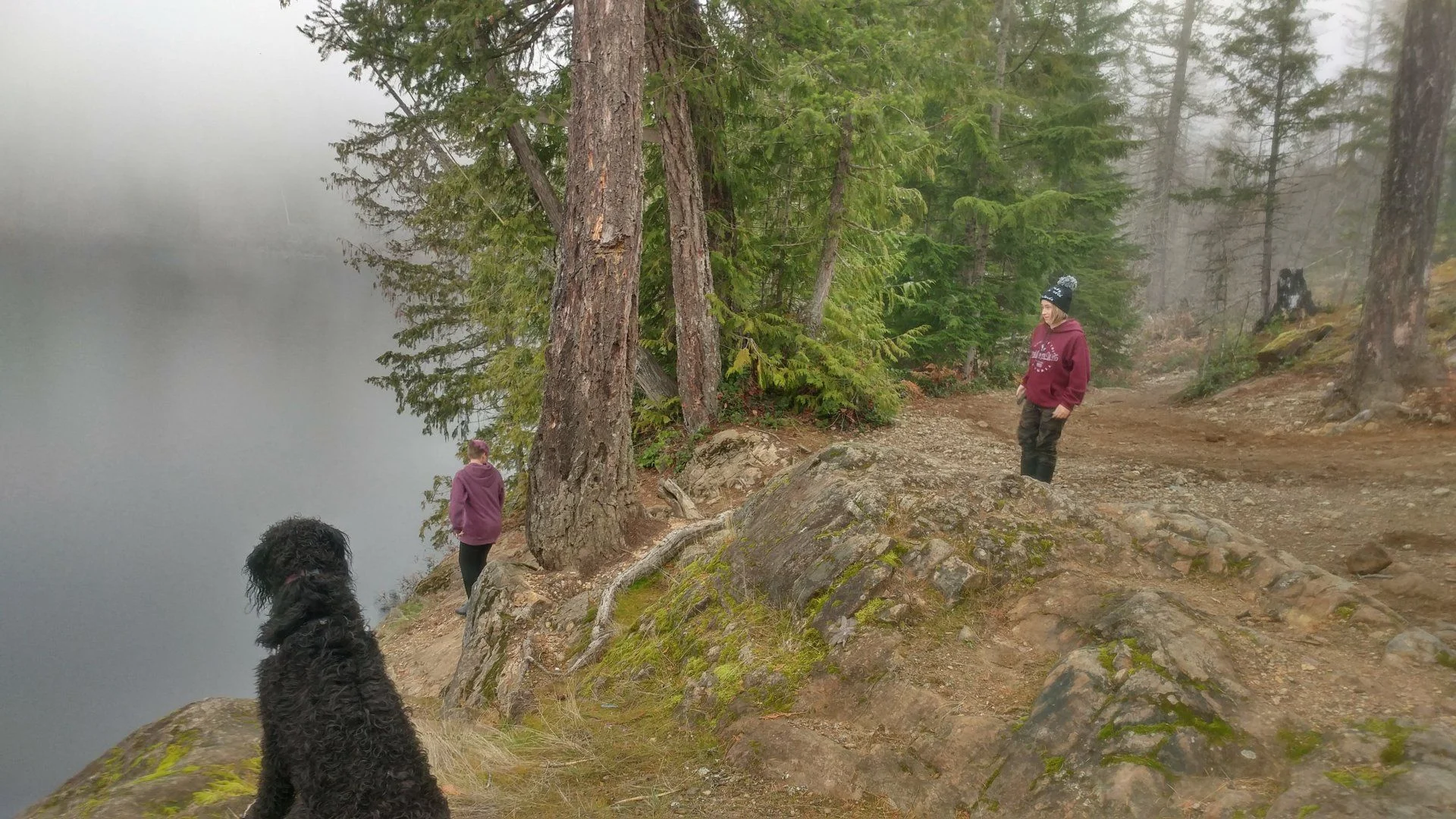 20191109_144315_HDR.webp