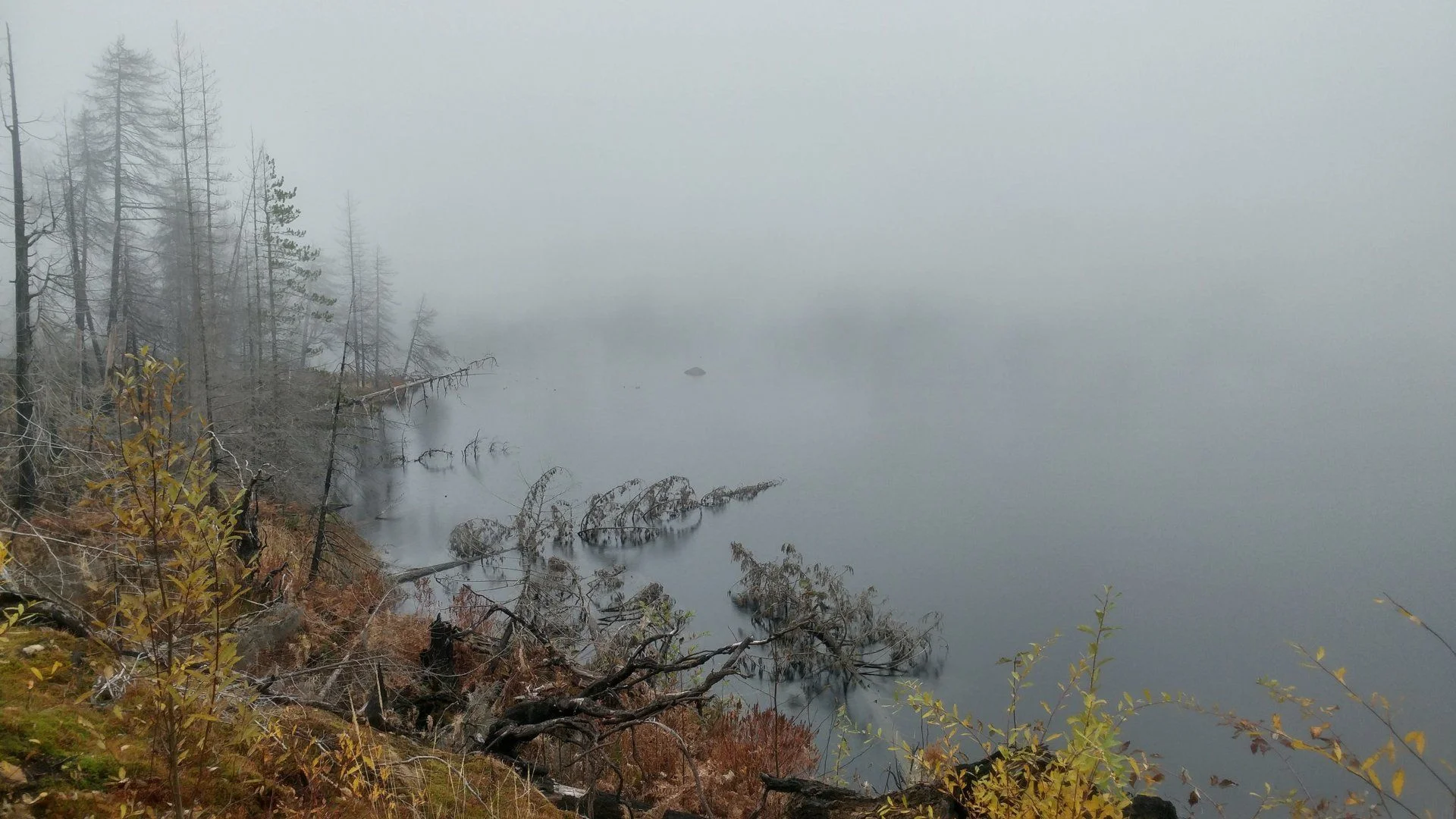 20191109_144321_HDR.webp