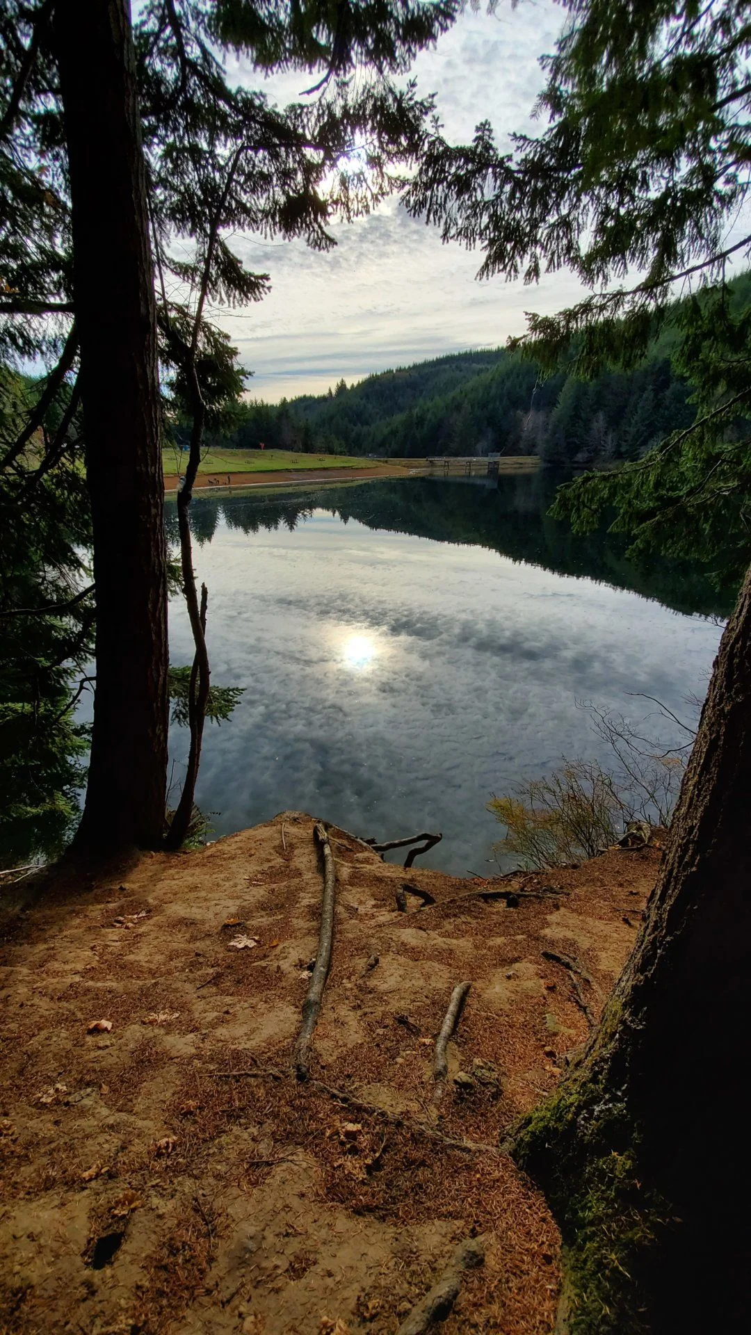 20191110_141716.webp