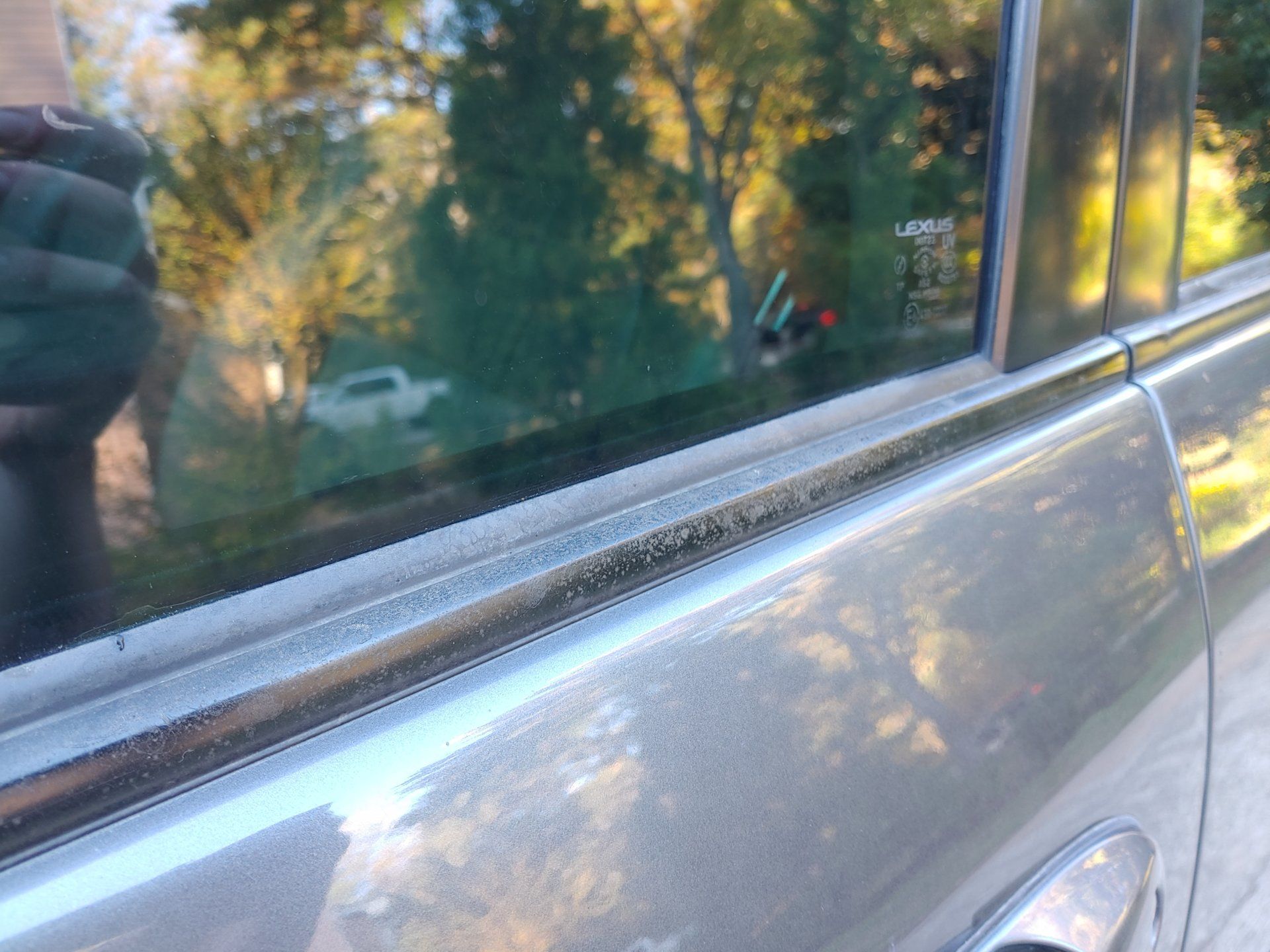 20191110_160639.jpg