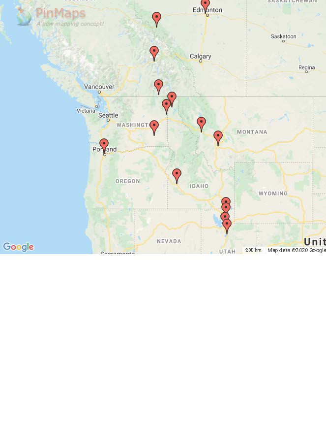 2020 _ Pinmaps.net _ Print Map.jpg