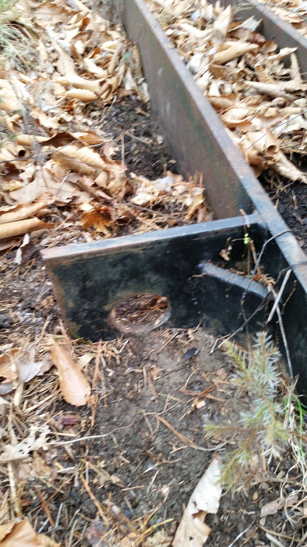 20200110_140131.jpg