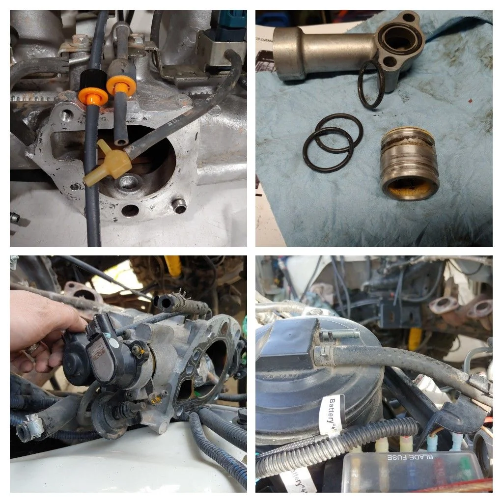 20200118_195248-COLLAGE.webp