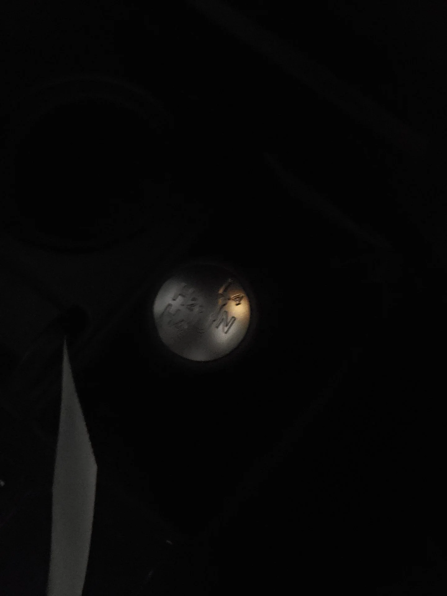 20200221_202300.jpg