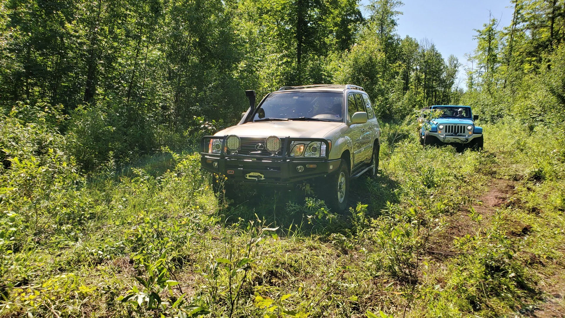 20200703_103423.webp