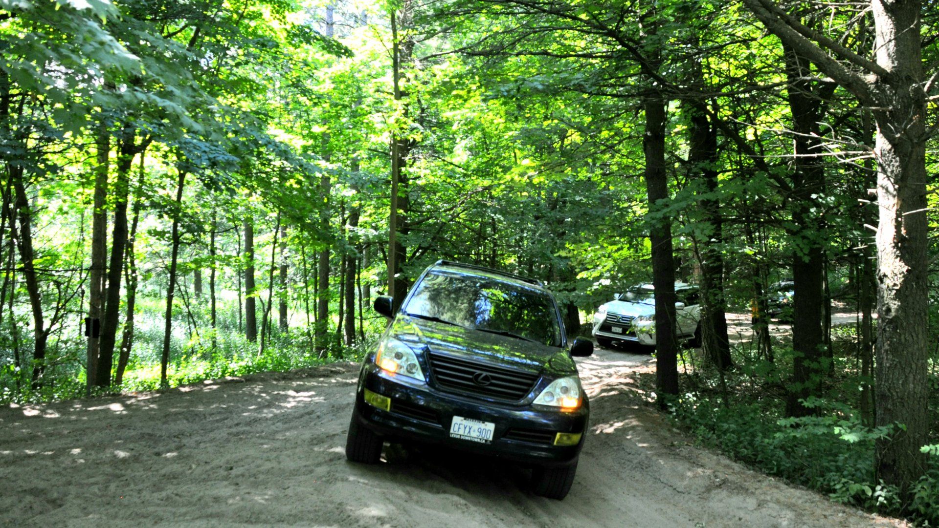 20200704_131559.jpg