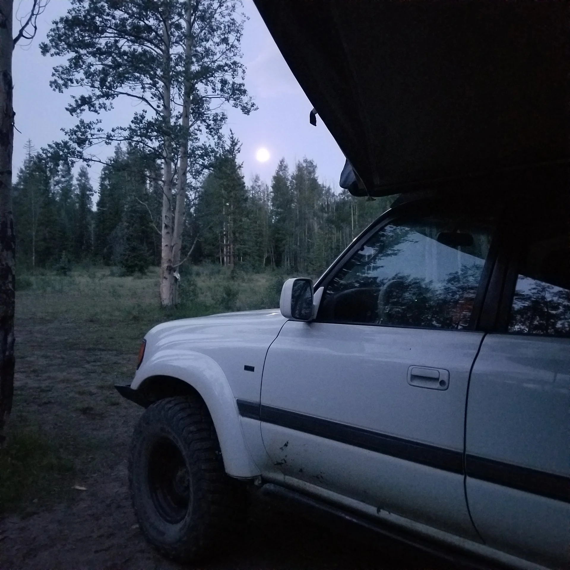 20200804_055121.webp