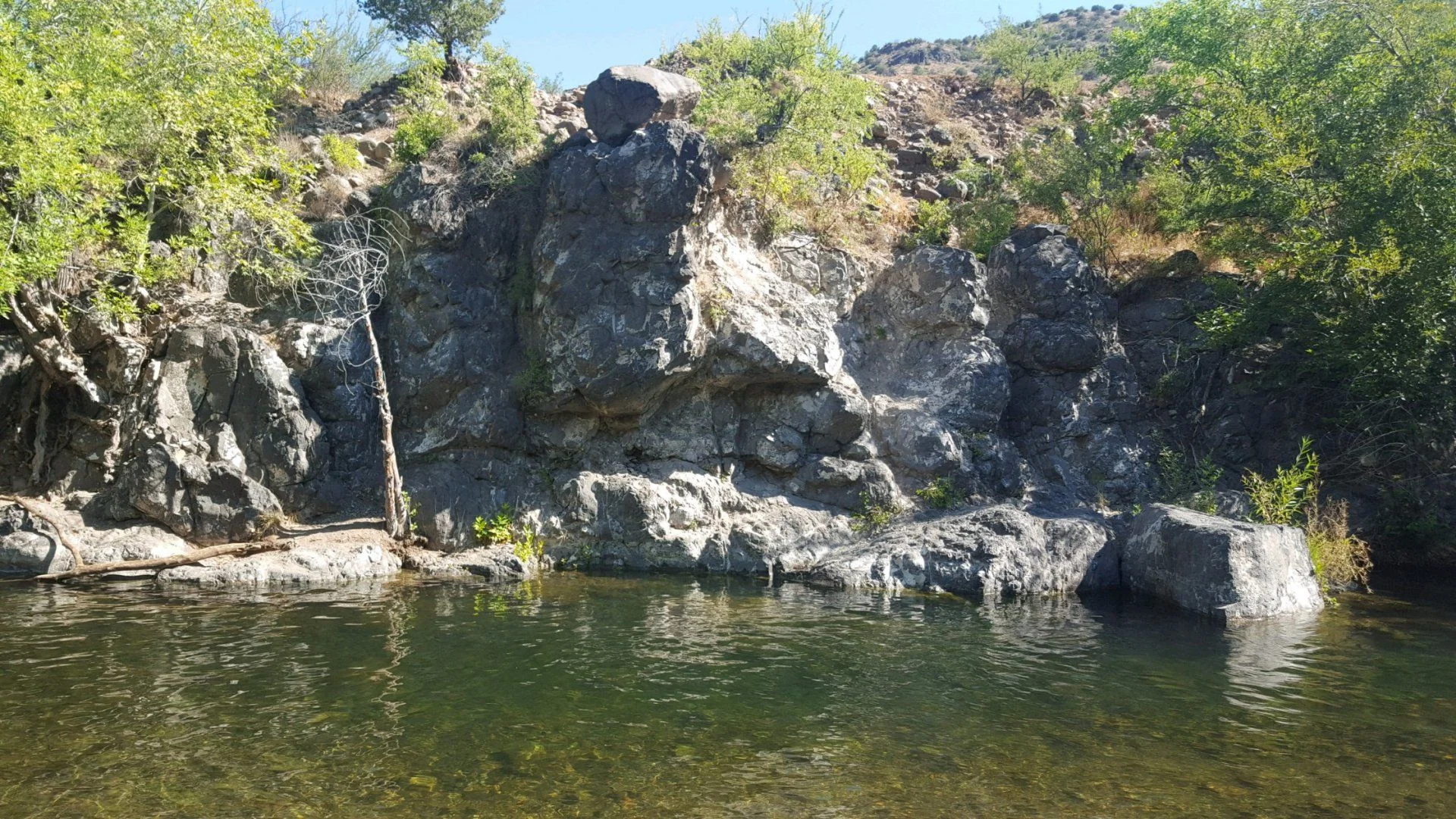 20200815_092719.webp