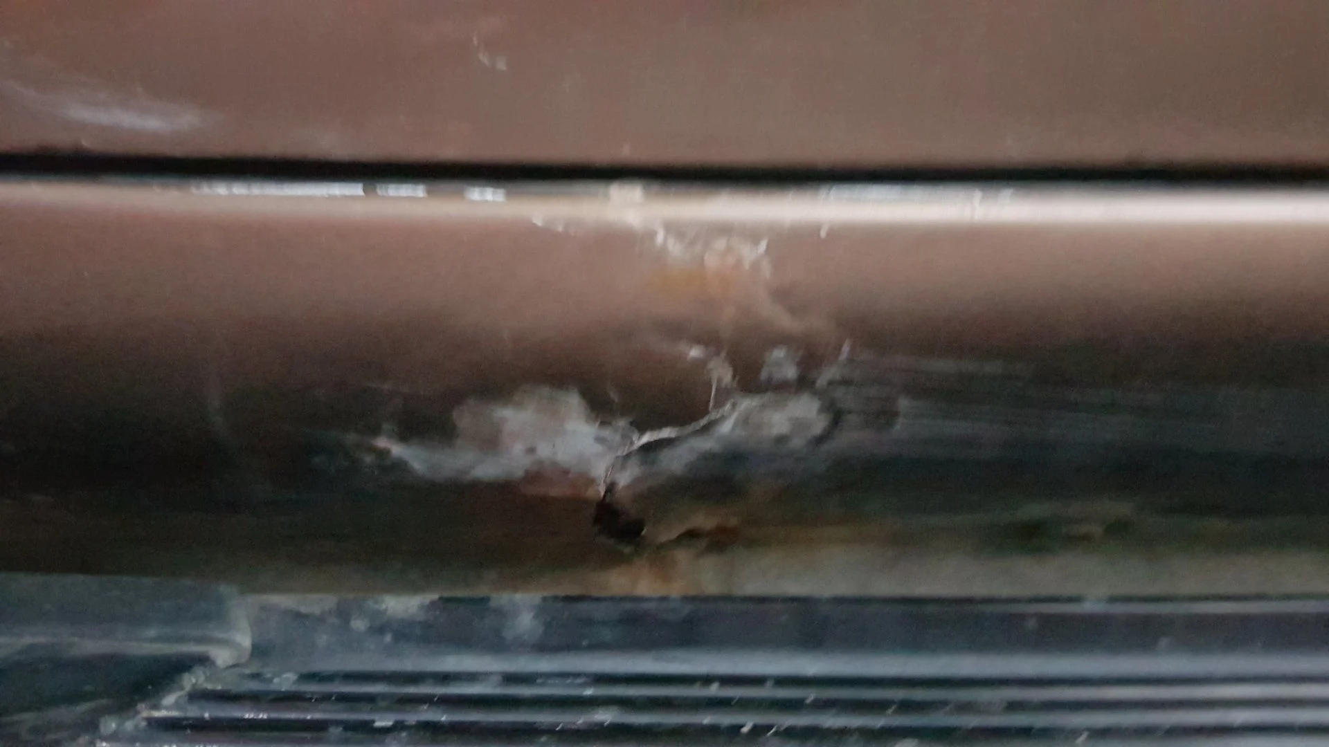 20200816_205107_resize_20.webp