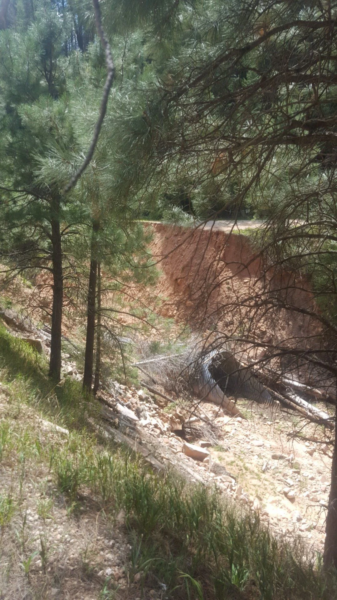 20200906_131824.webp