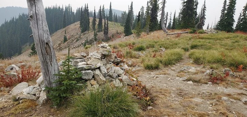 20200914_121255-sm.jpg