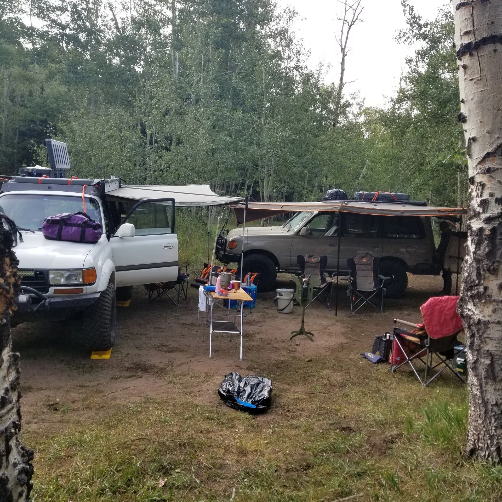 20200917_081353.jpg