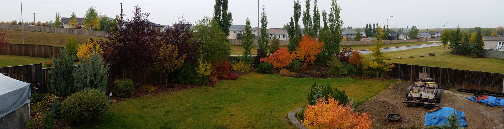 20200920_131530.jpg