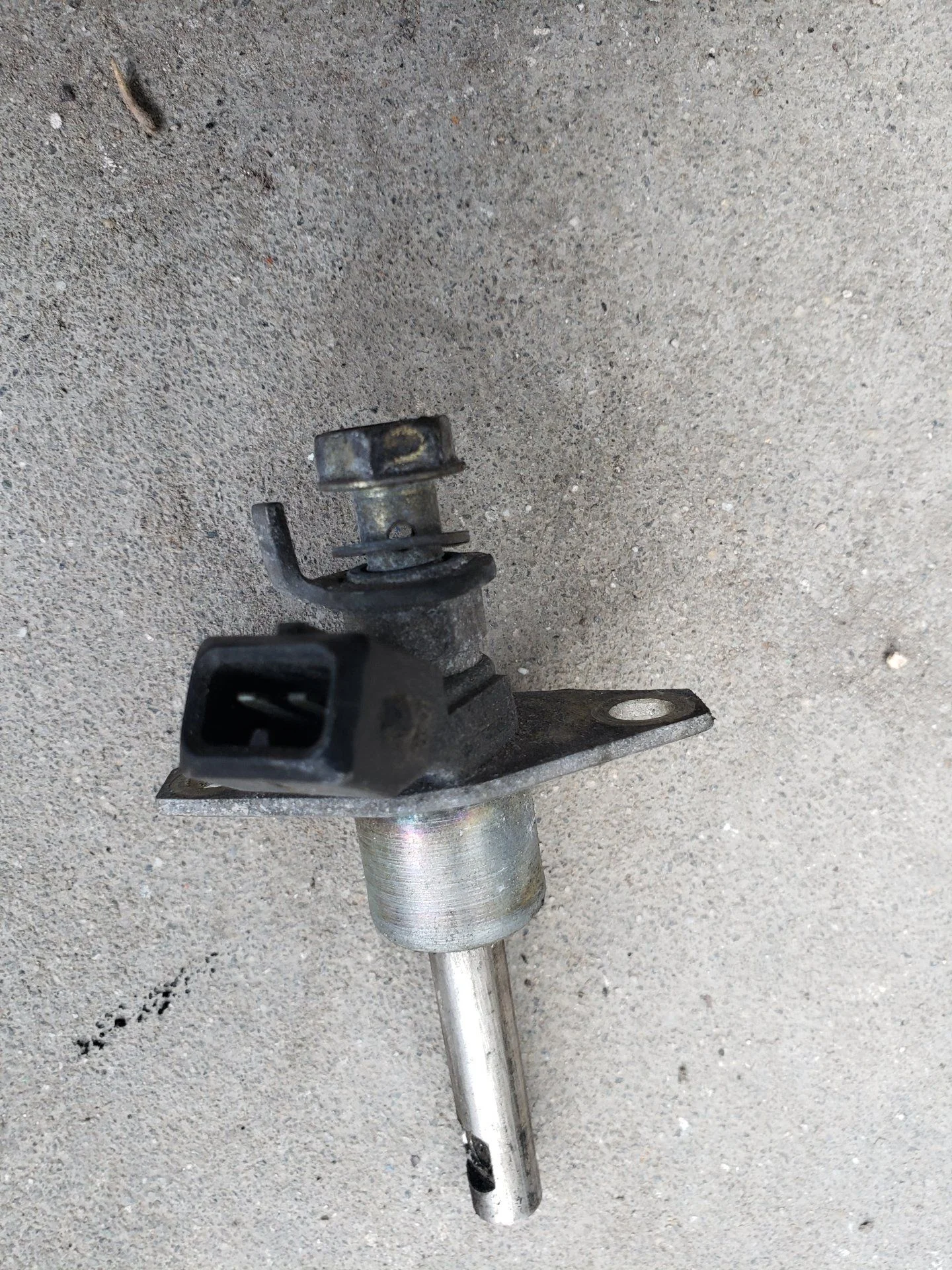 20200924_090336.jpg