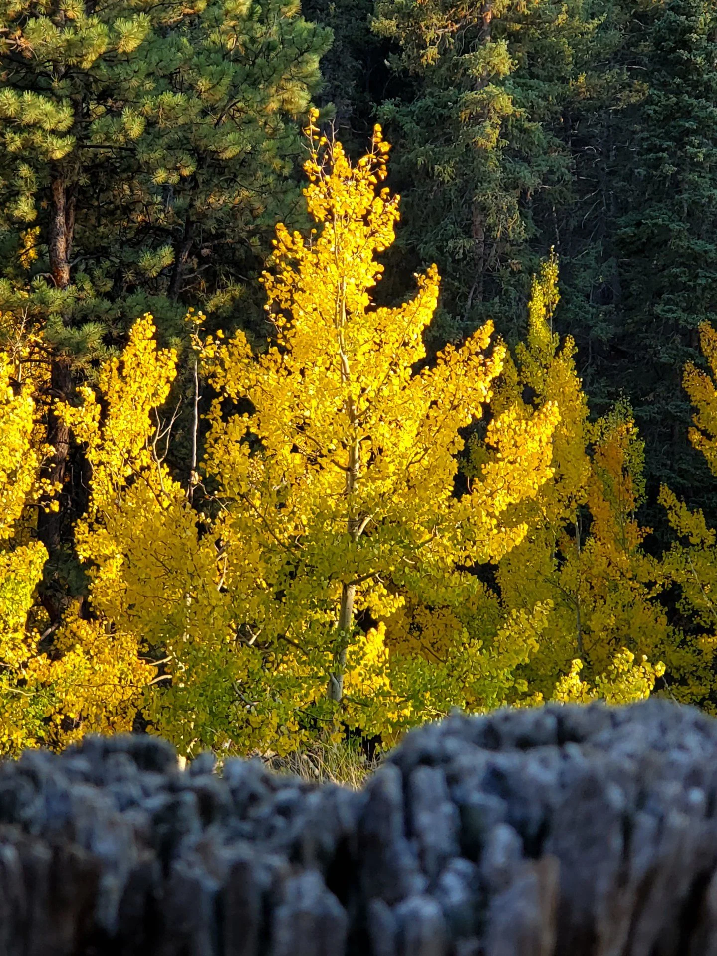 20200930_170135.jpg