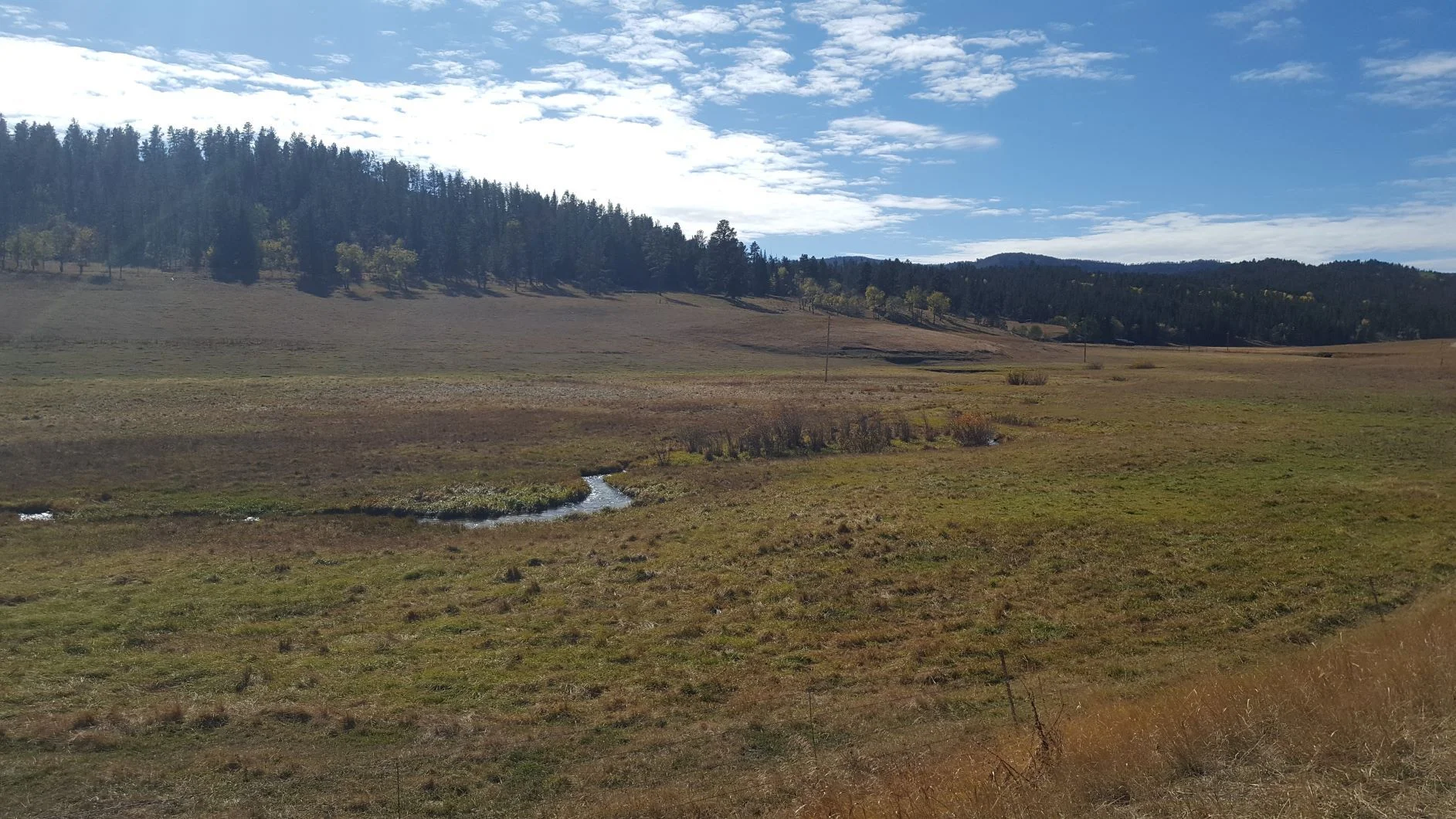 20200930_C_Scenery.webp