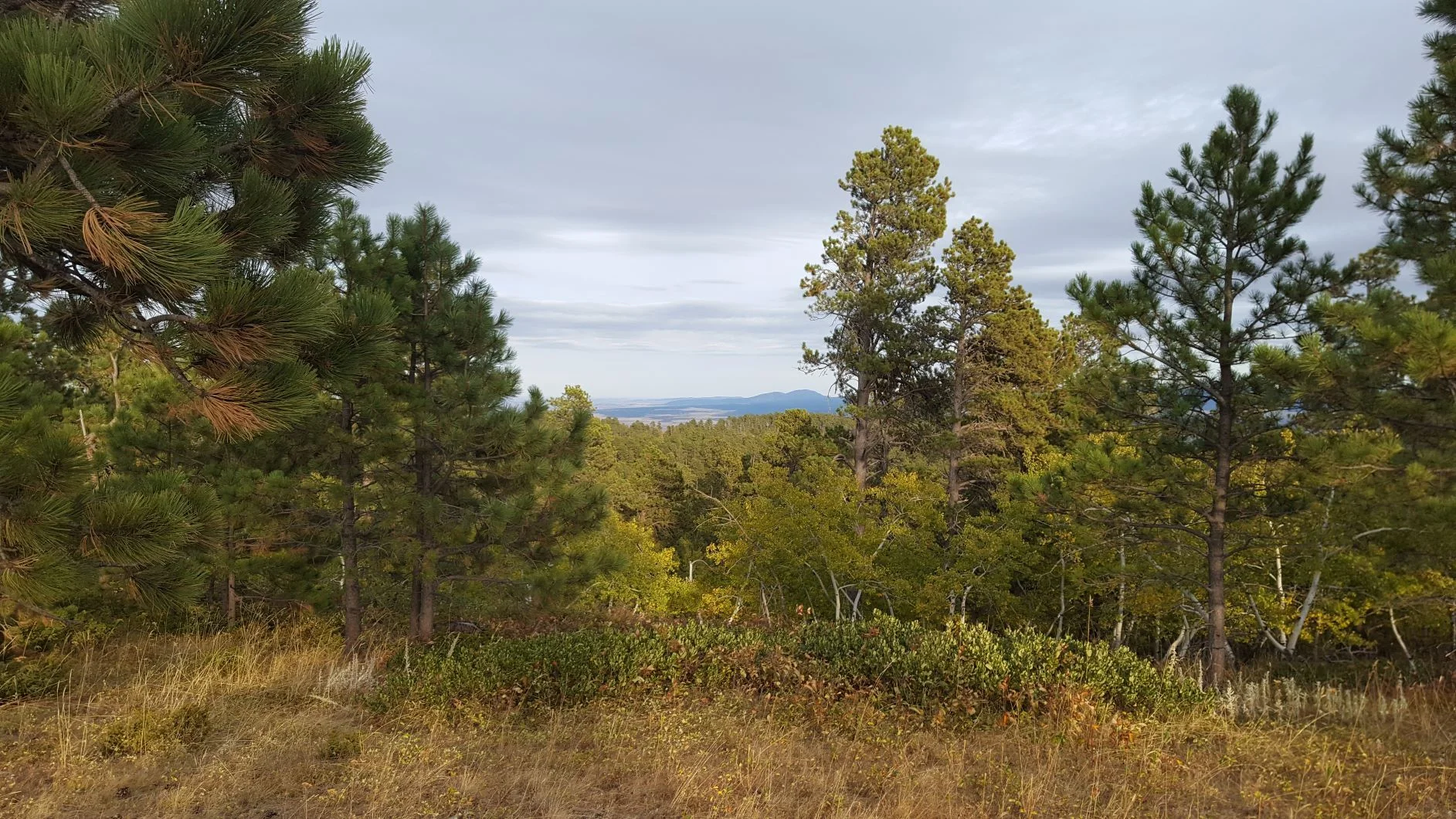 20201001_F_Room with a view.webp