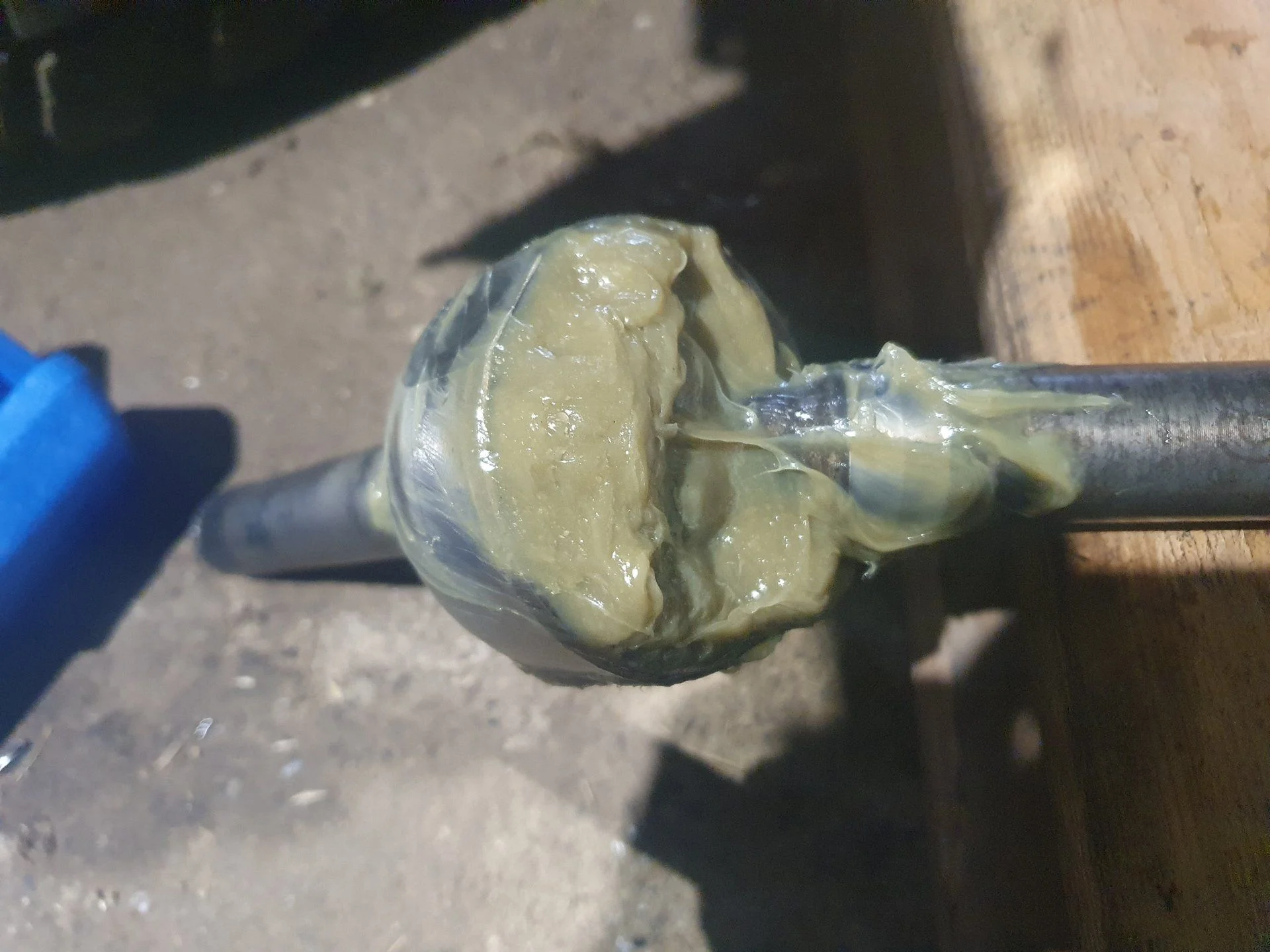 20201006_160531.jpg