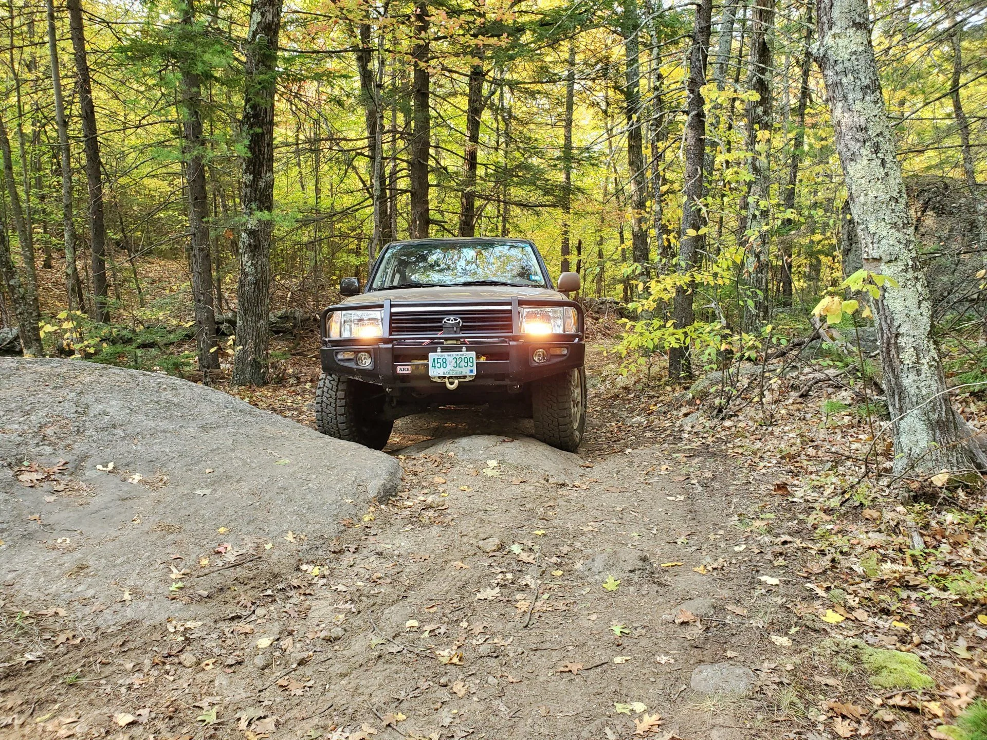 20201010_151201.webp