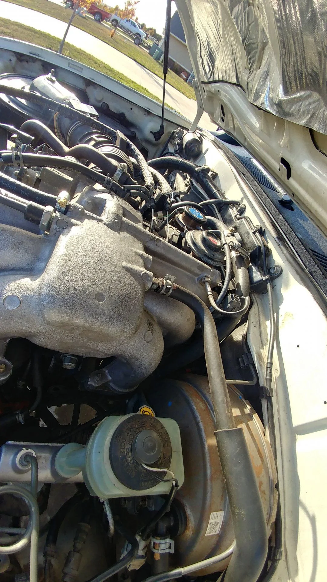 20201016_171920_HDR.webp