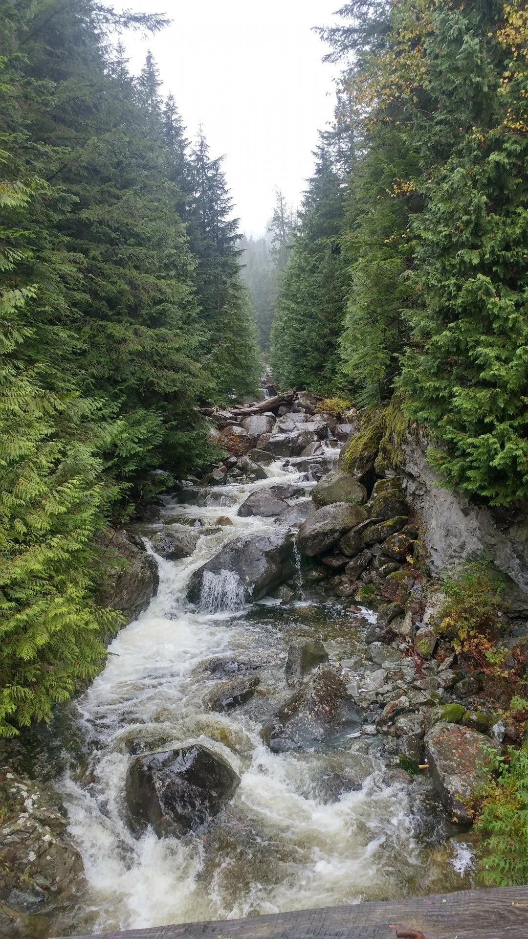 20201018_133432_HDR.webp