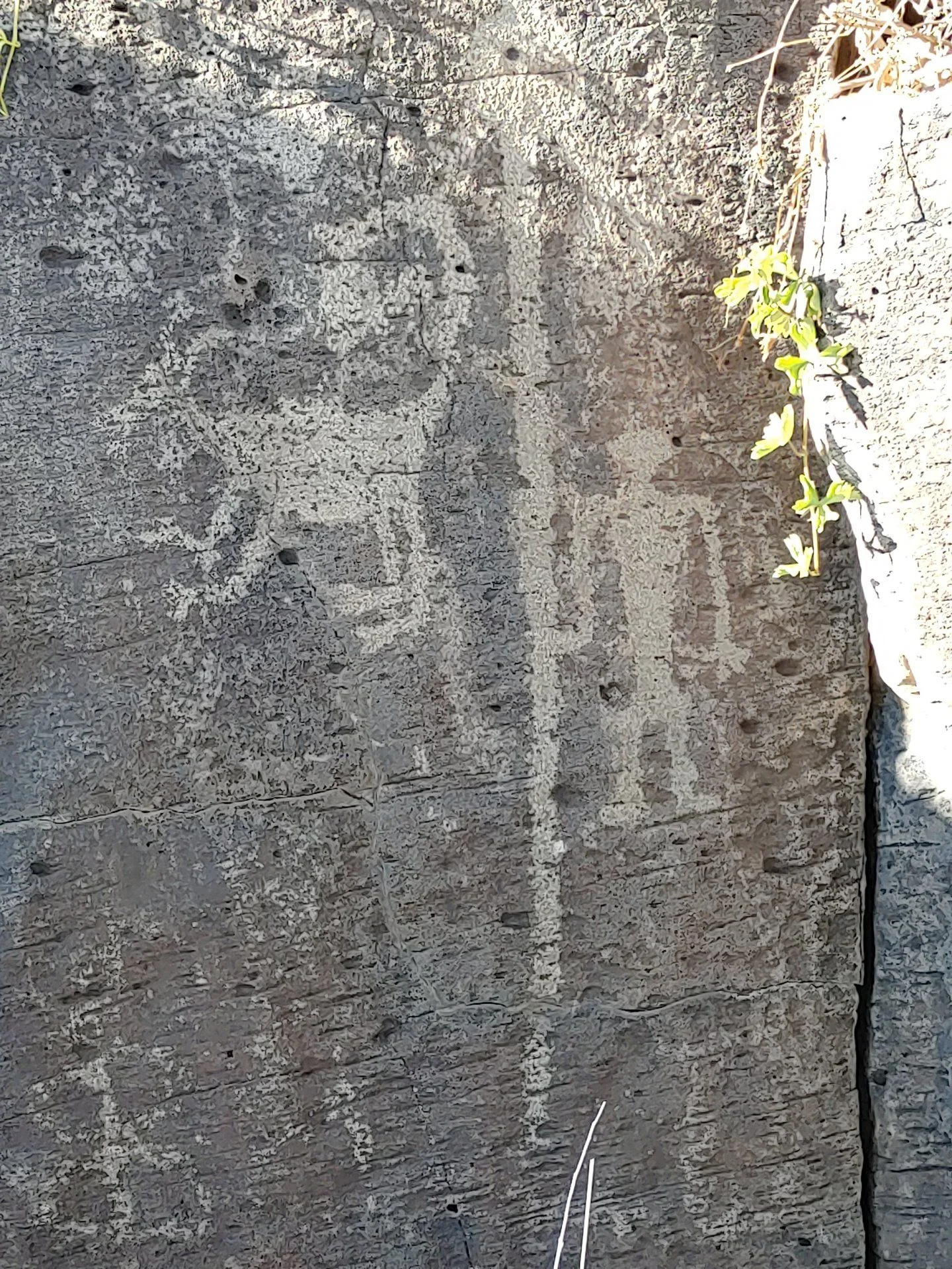 20201101_144532.jpg