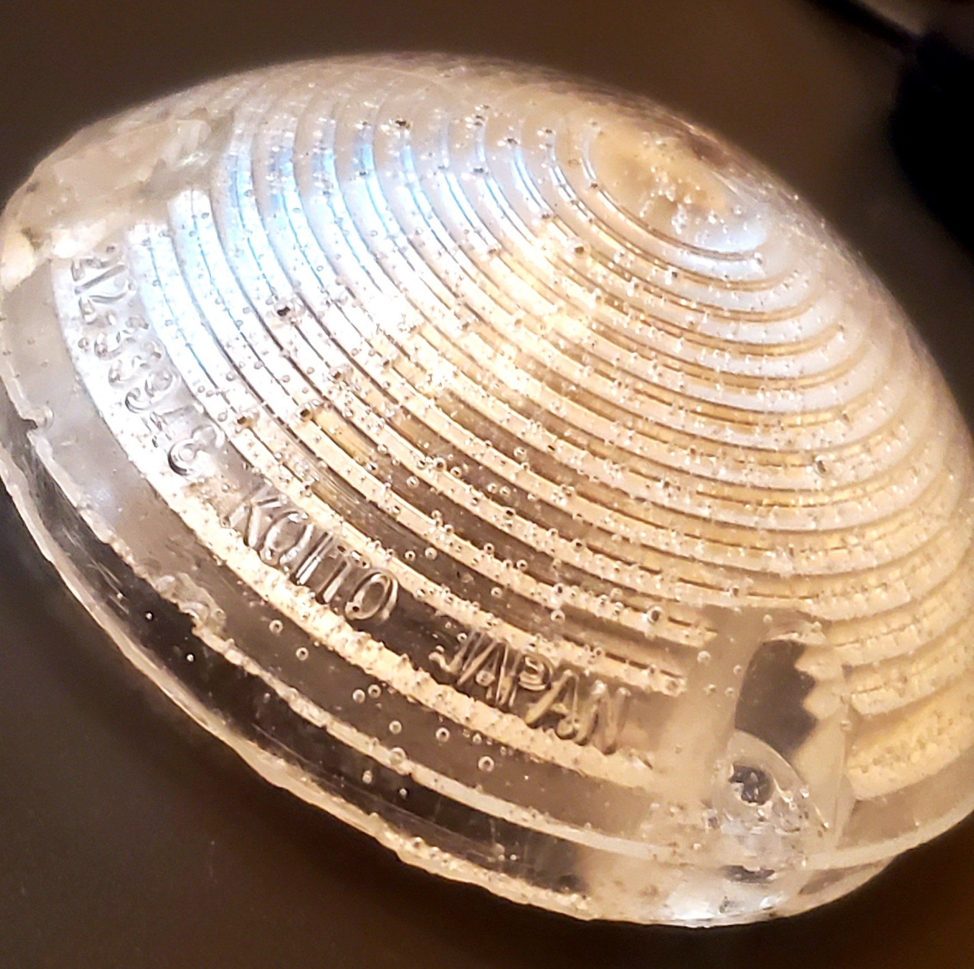 20201209_203100.jpg