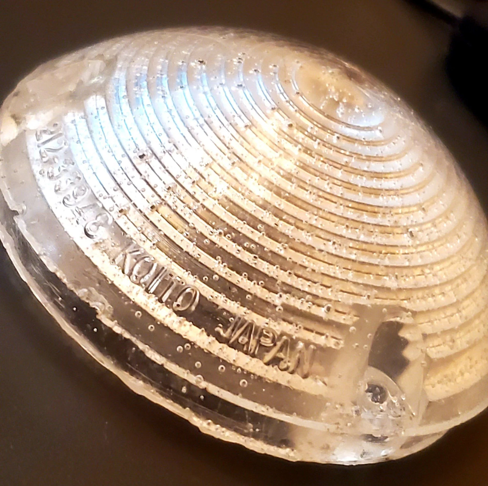 20201209_203100.jpg