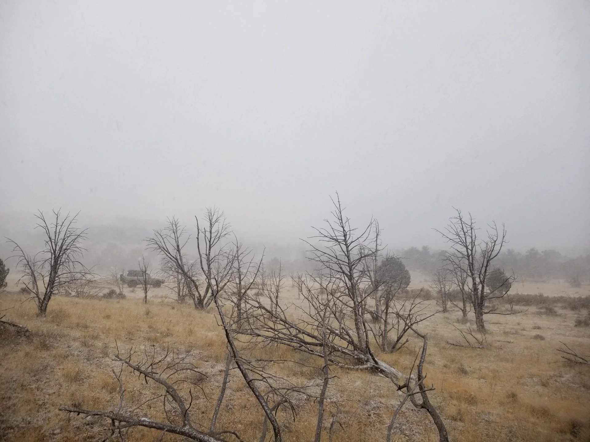 20201212_143104.jpg