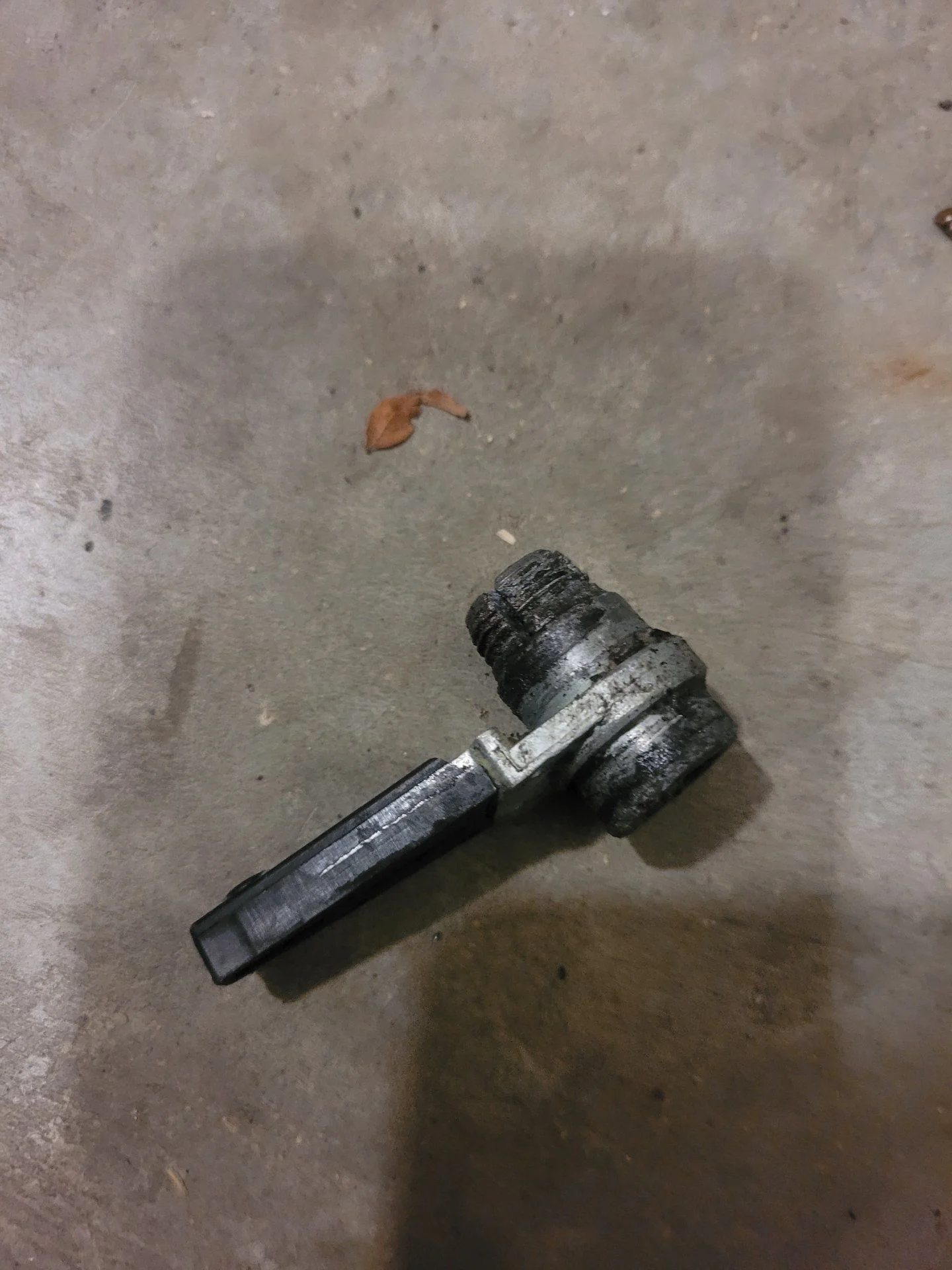 20201212_213930.jpg