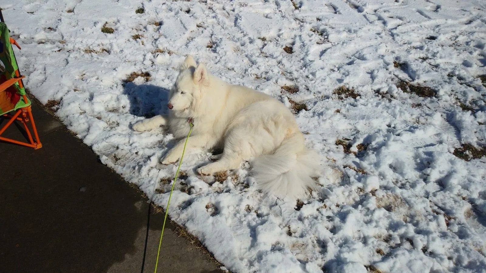 20201214_122233.webp