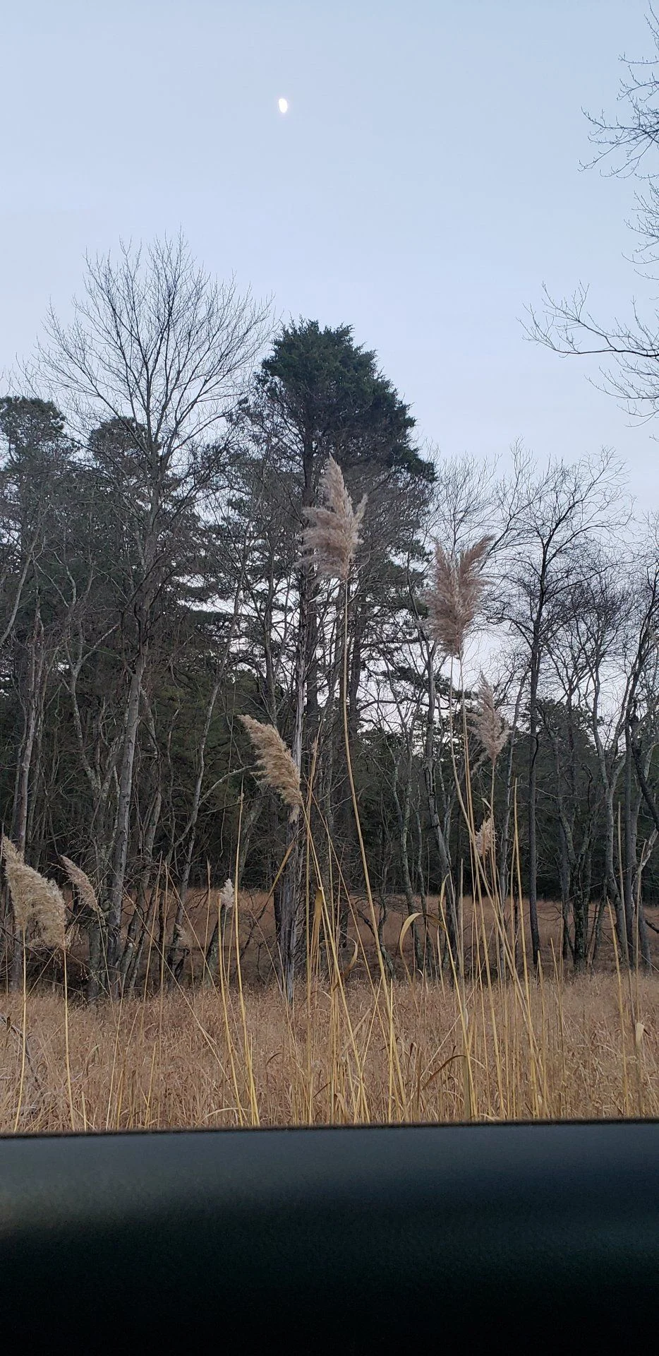 20201223_164036.webp