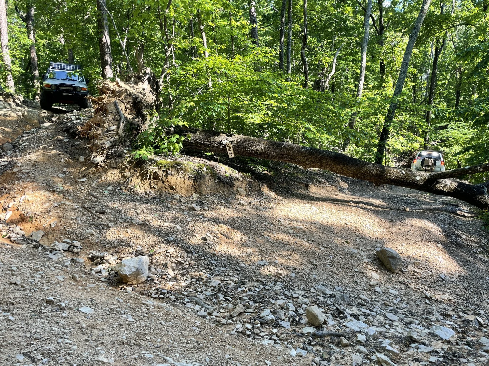 2021-05_ACC (17).webp