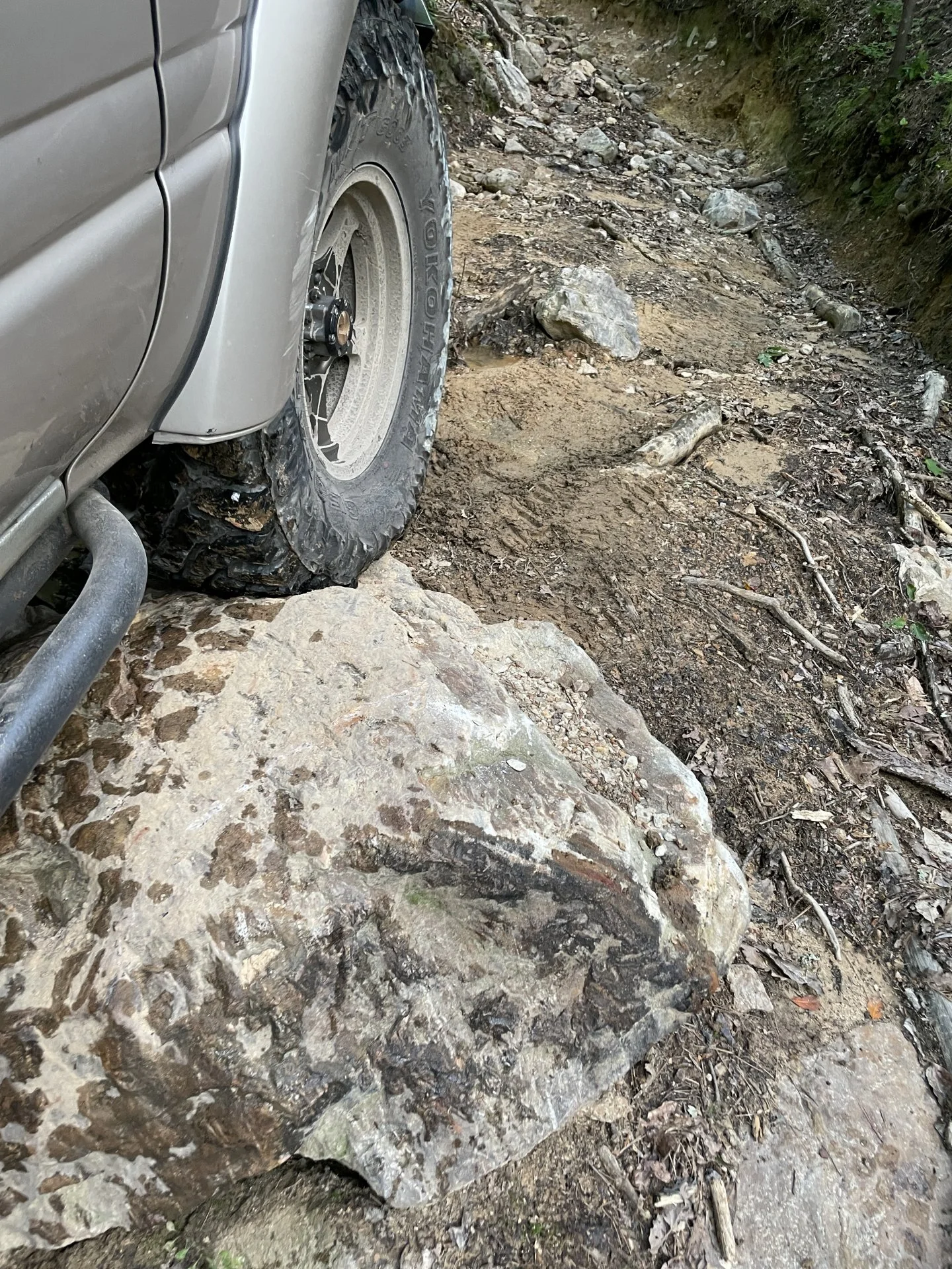 2021-05_ACC (77).webp