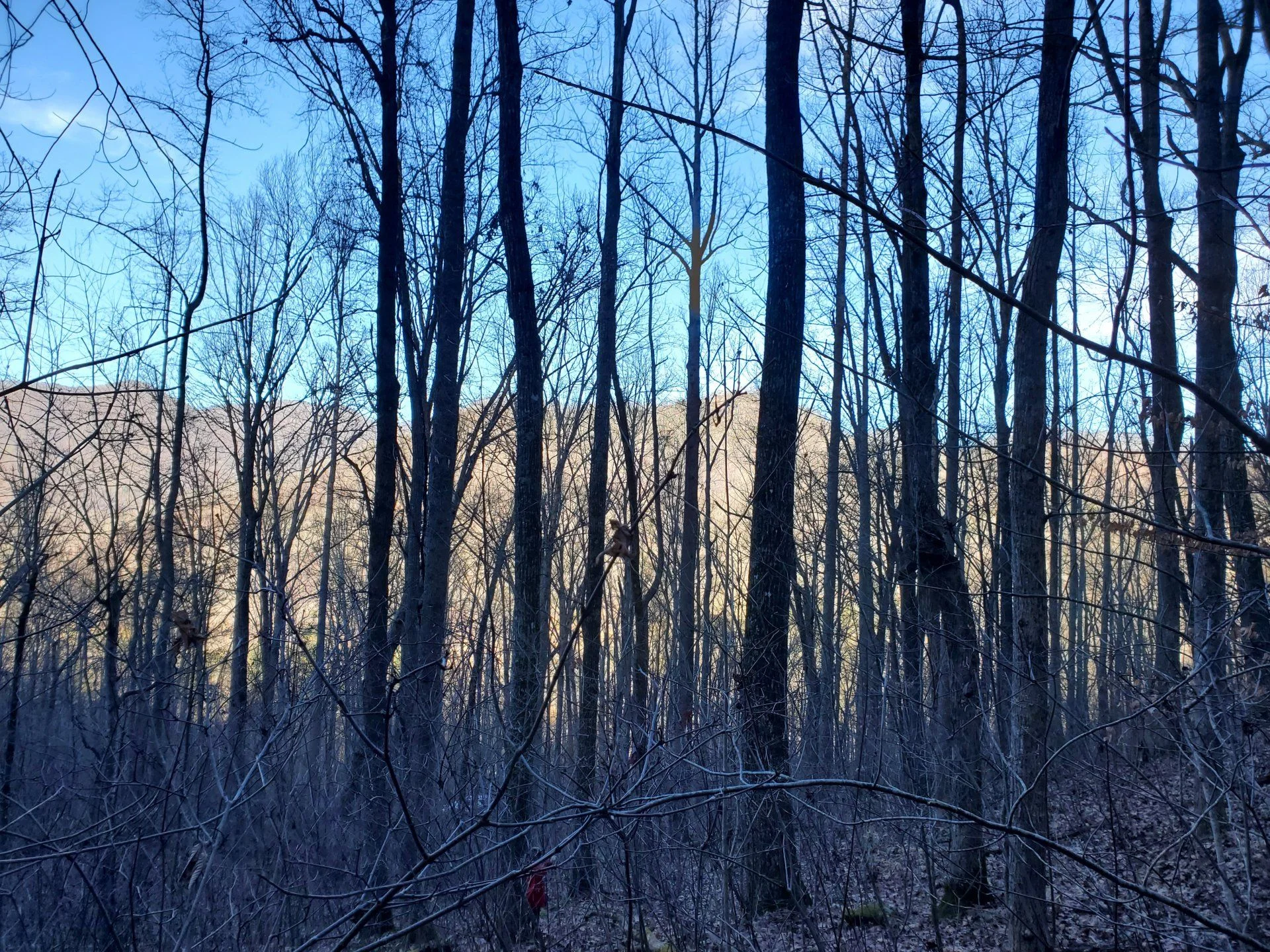 WNC land trade for FJ