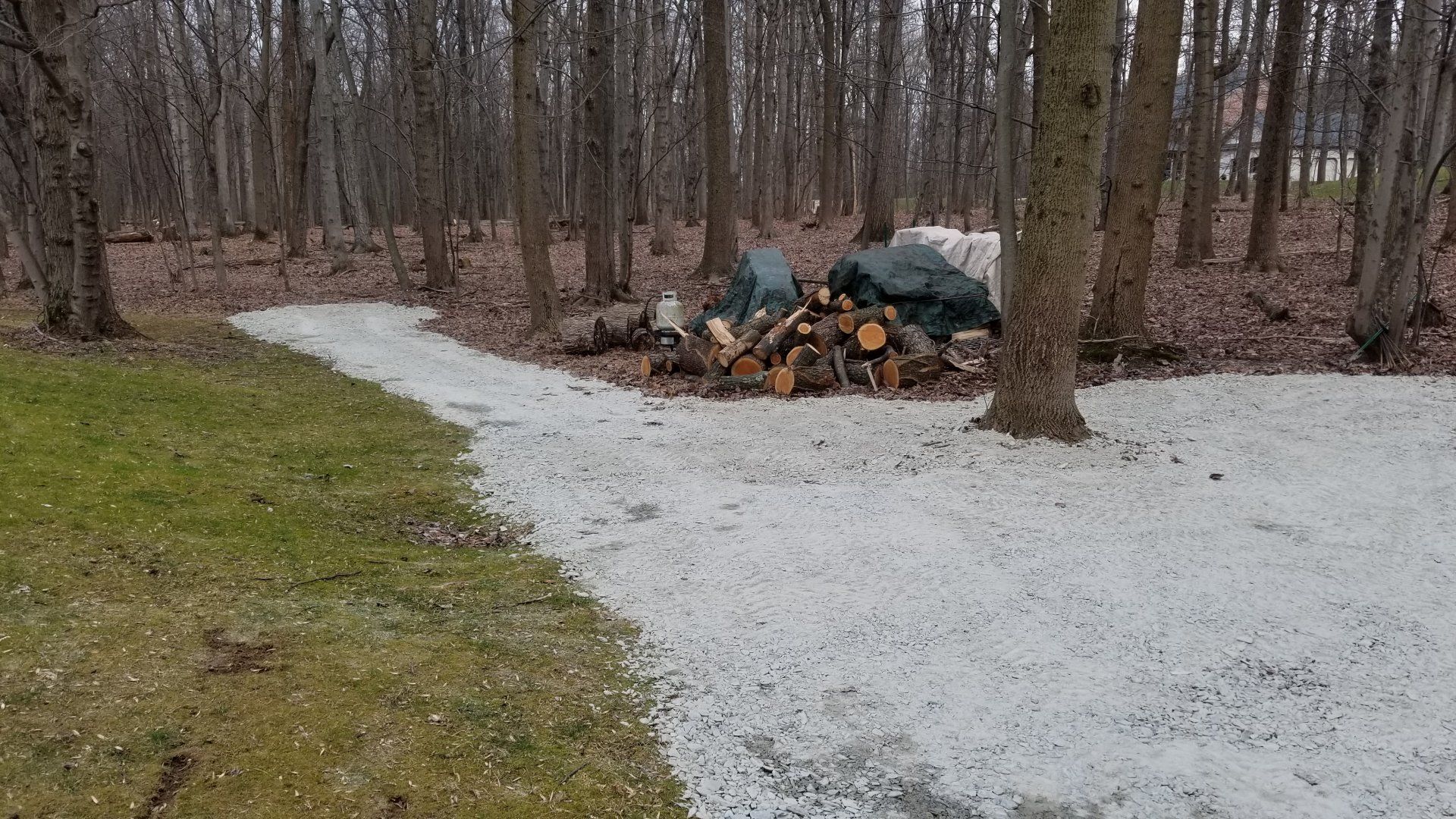 20210122_123732[1].jpg