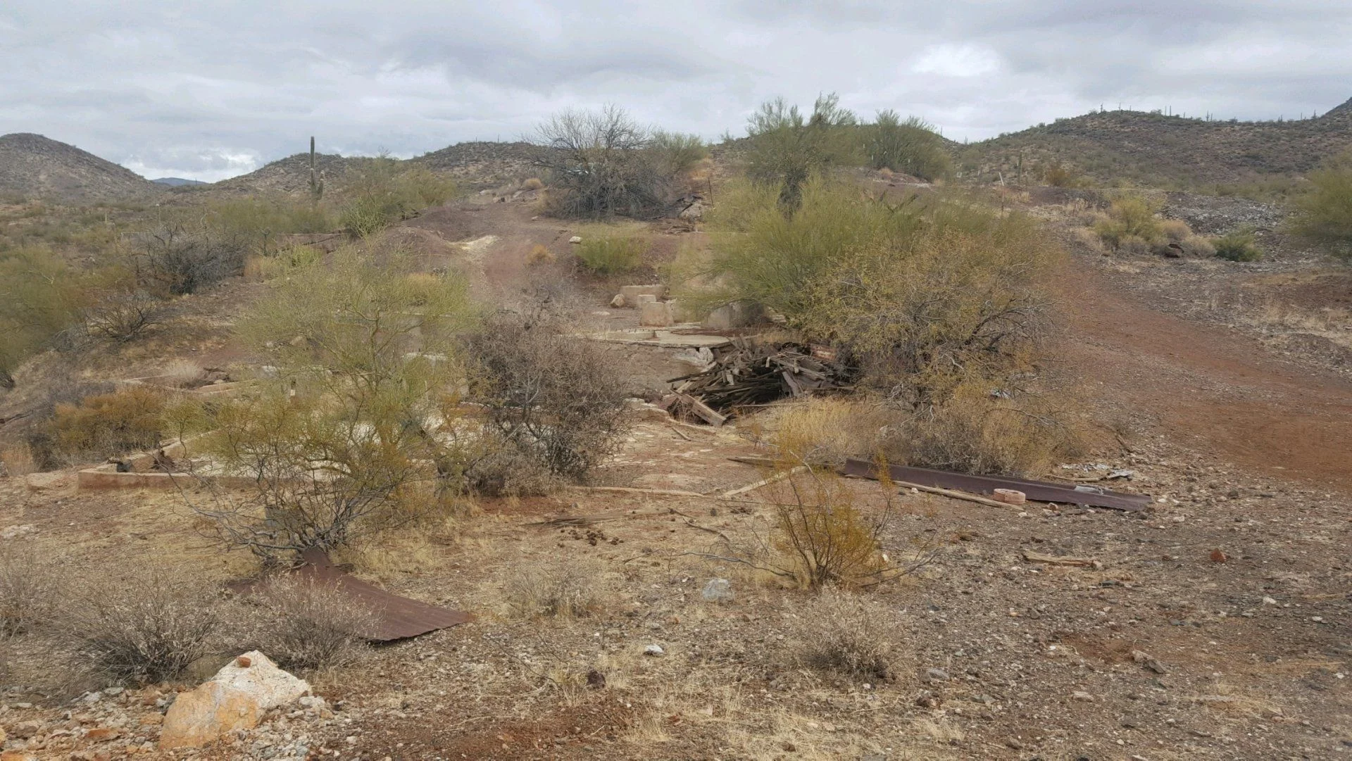 20210123_101806.webp