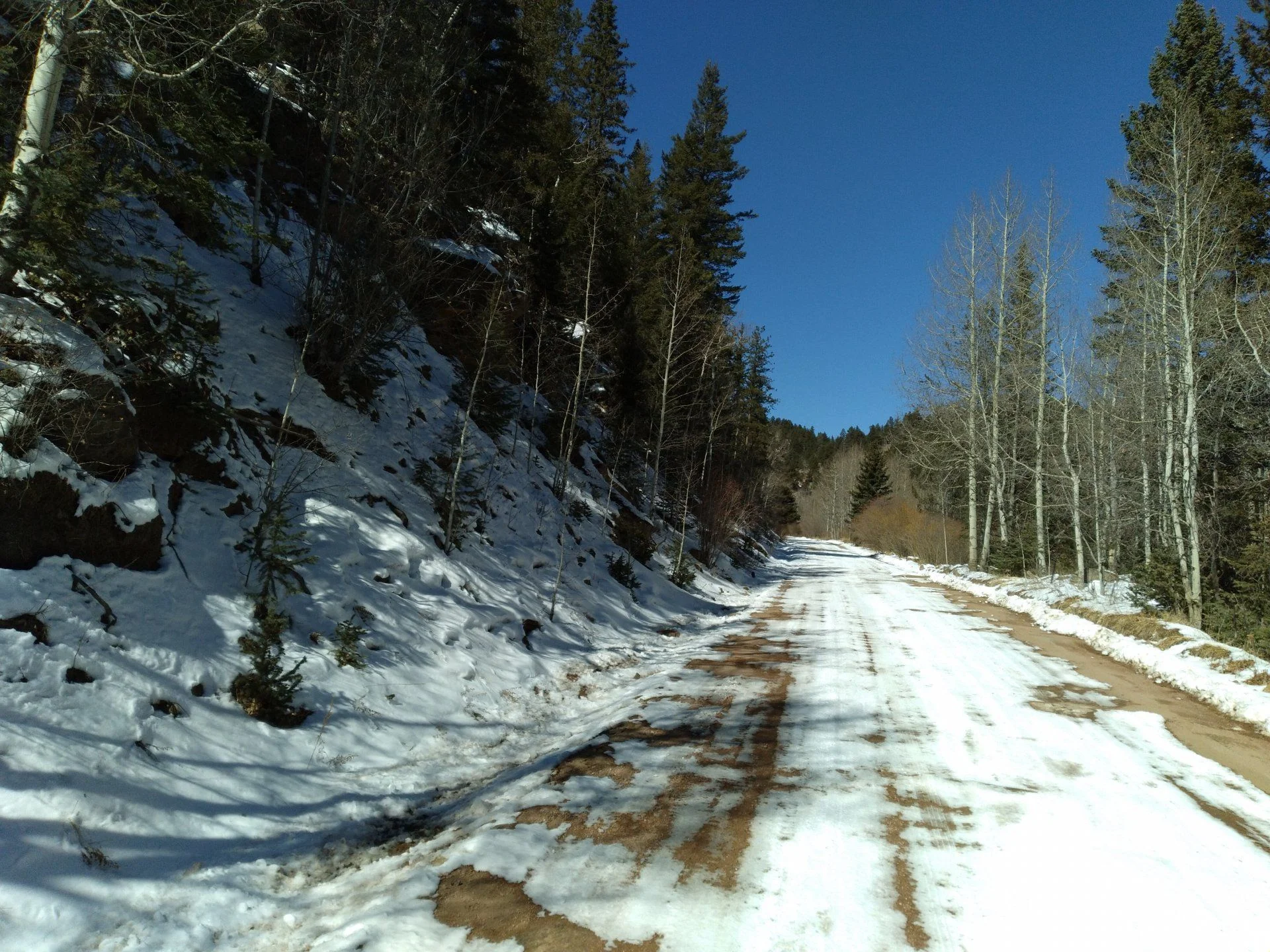 20210220_114451.webp