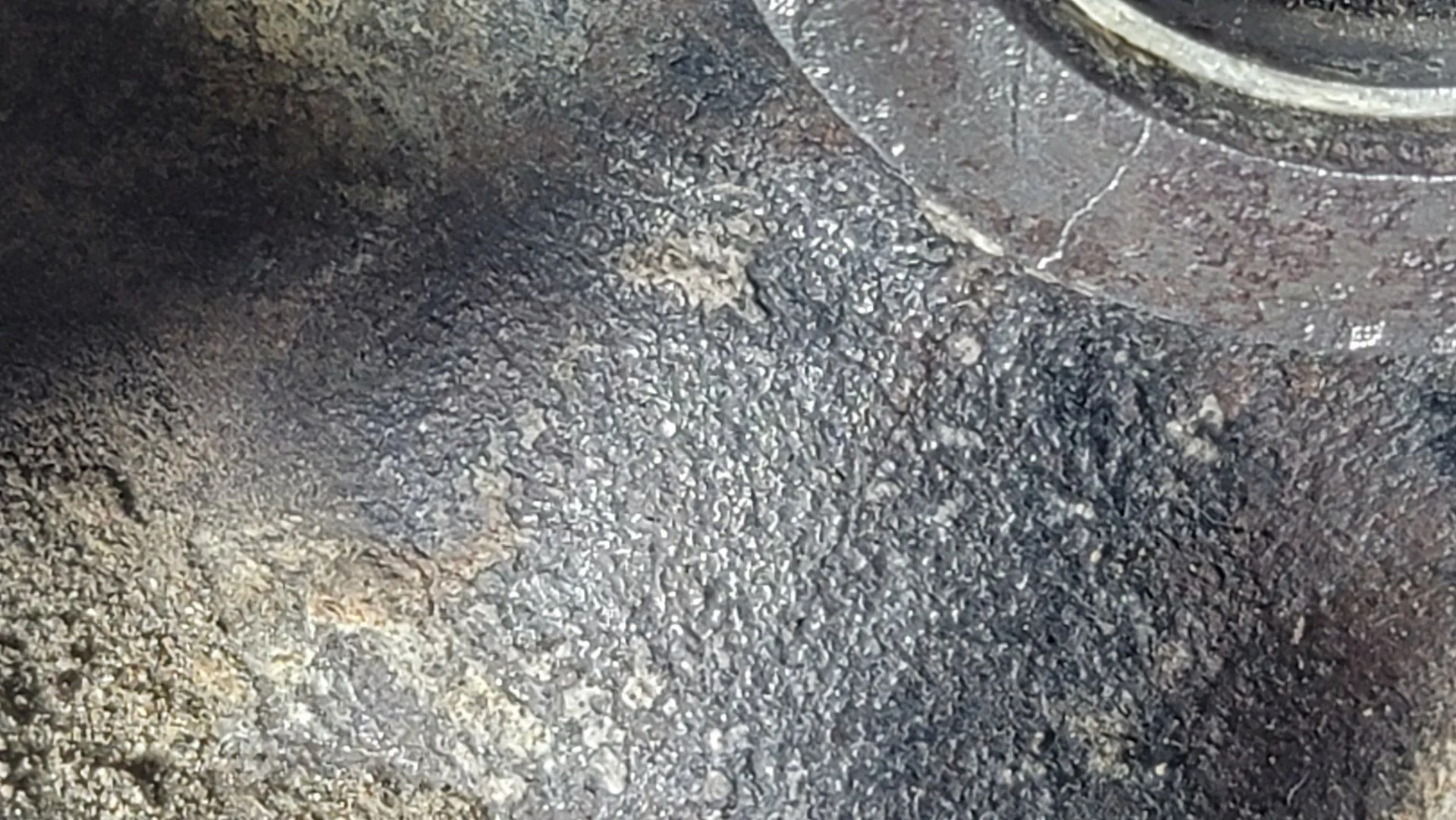 20210409_021304.jpg