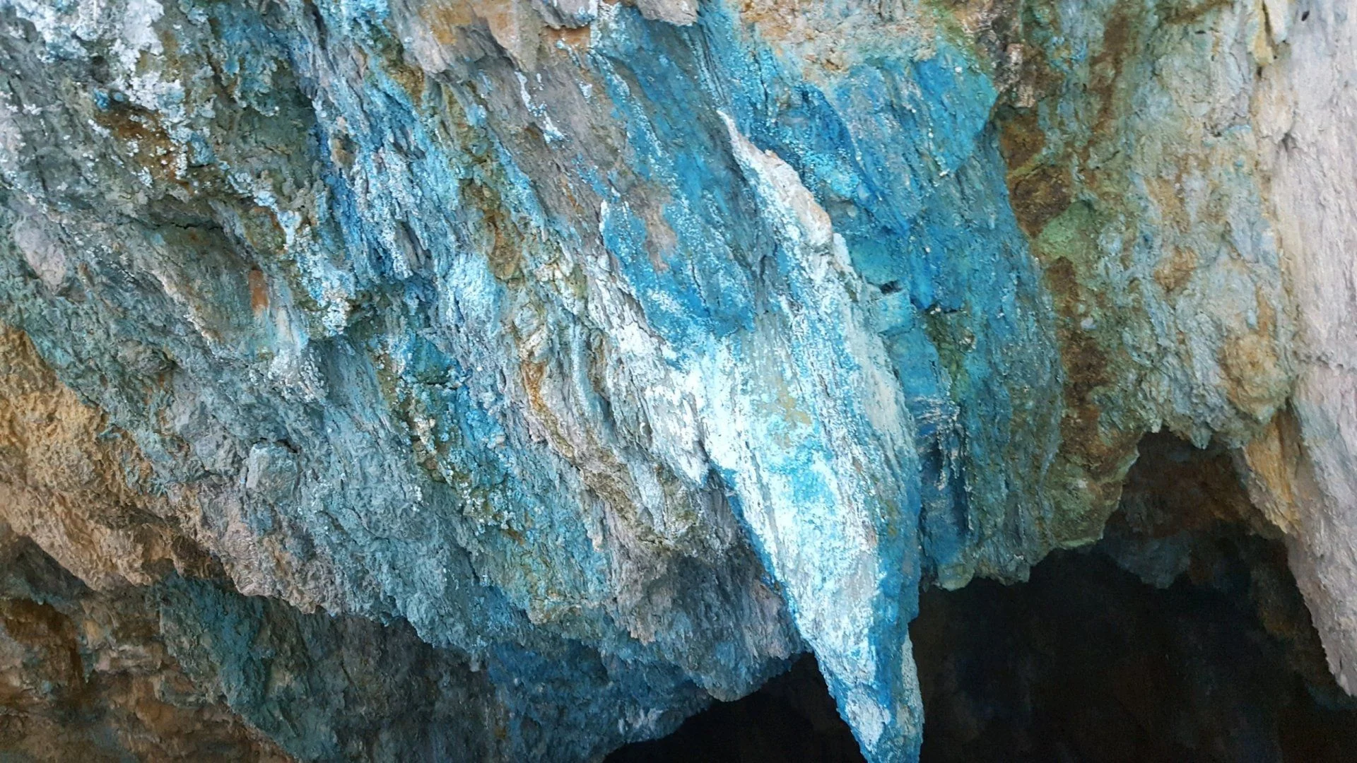 20210417_125210.webp