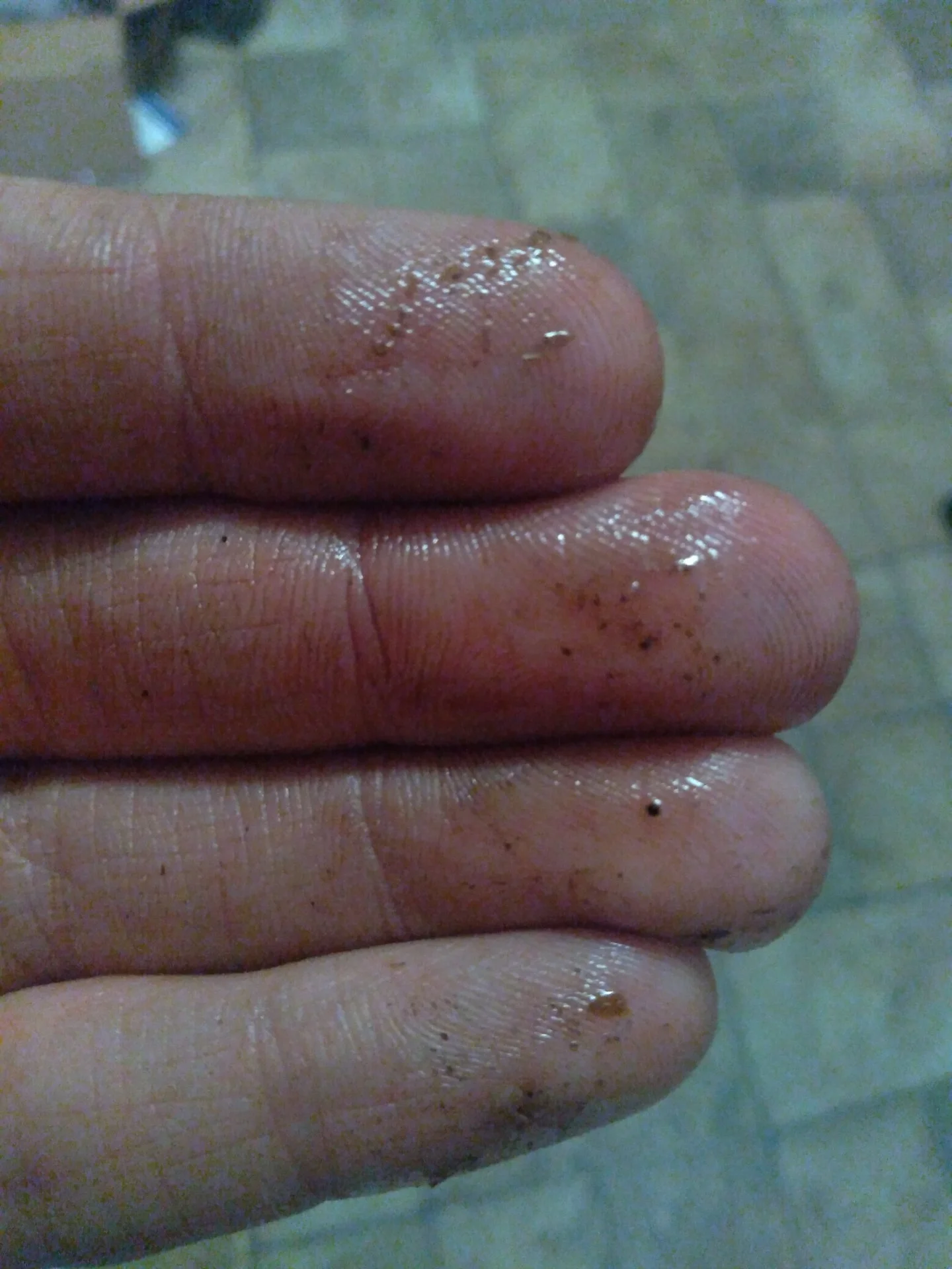 20210423_204223.jpg
