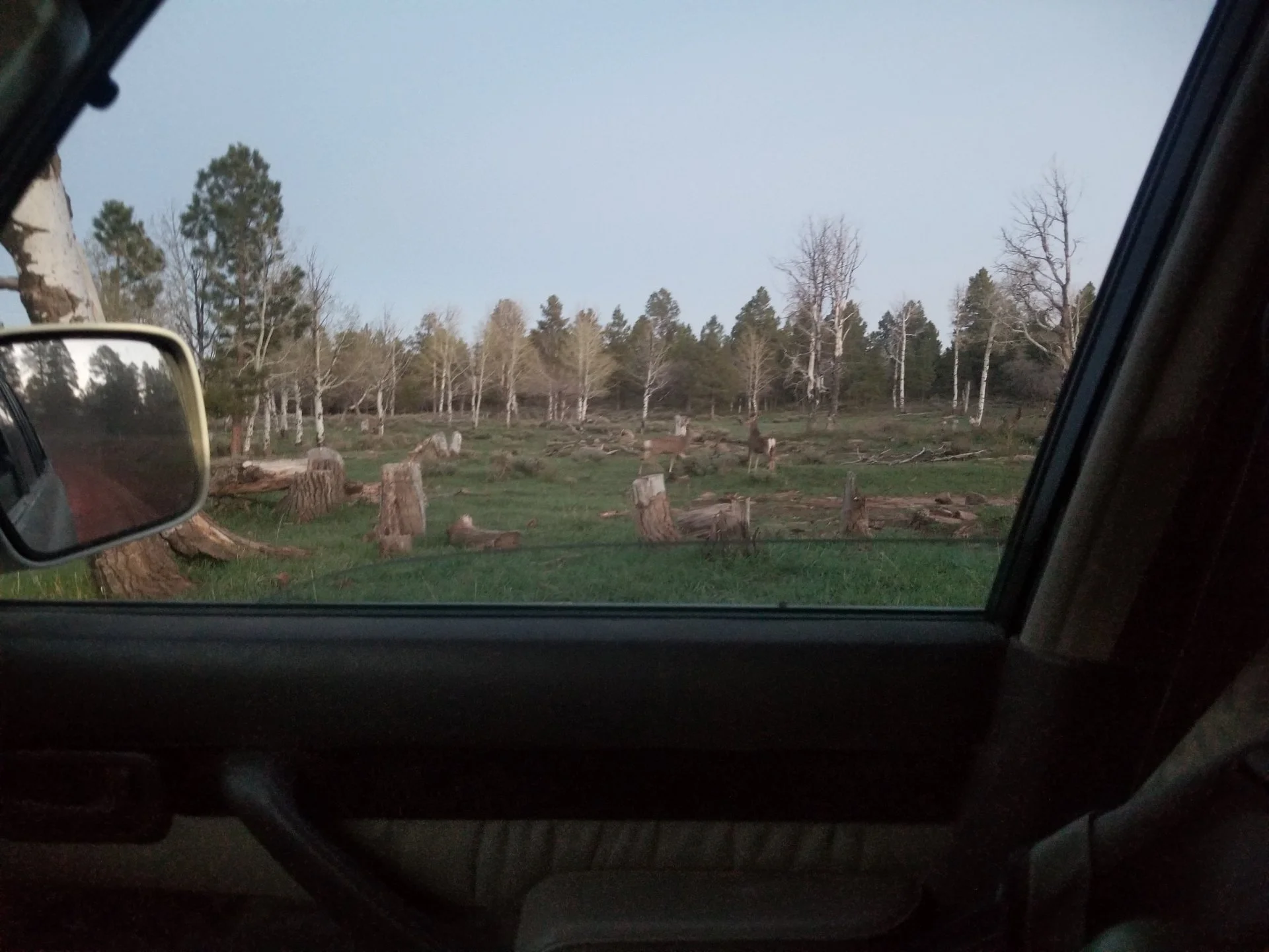 20210512_203943.webp
