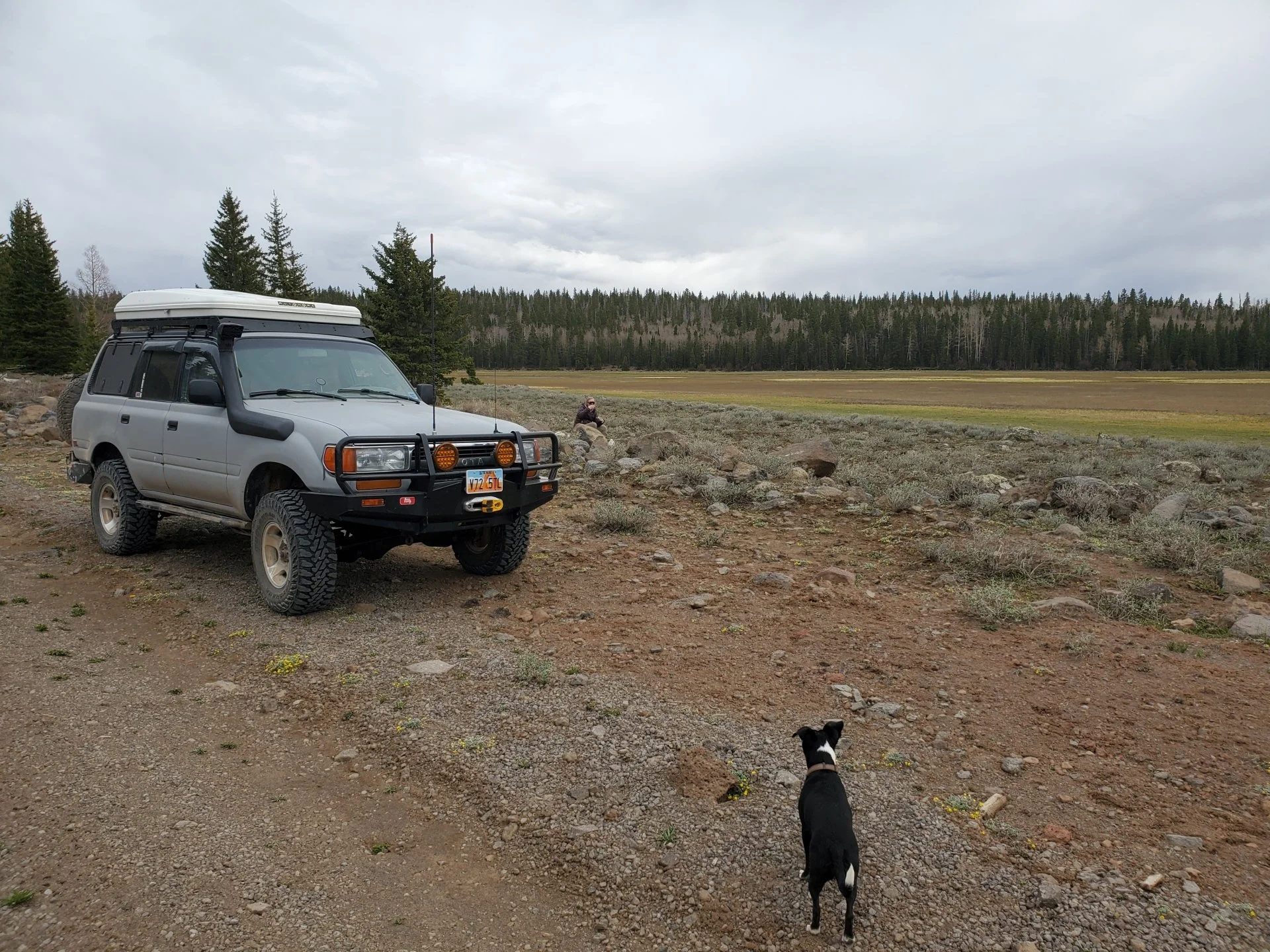 20210530_153010.webp