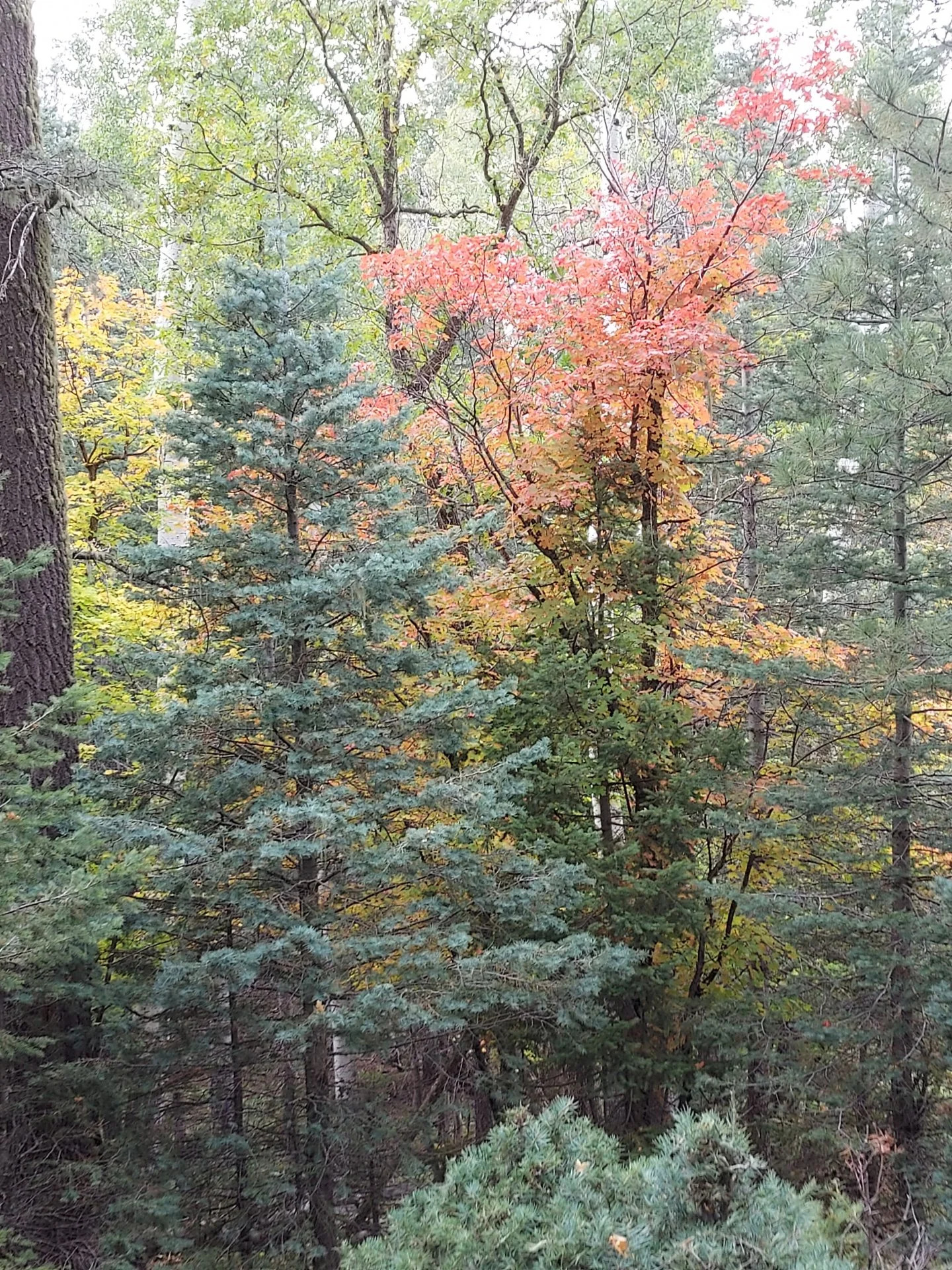 20211008_131307.webp