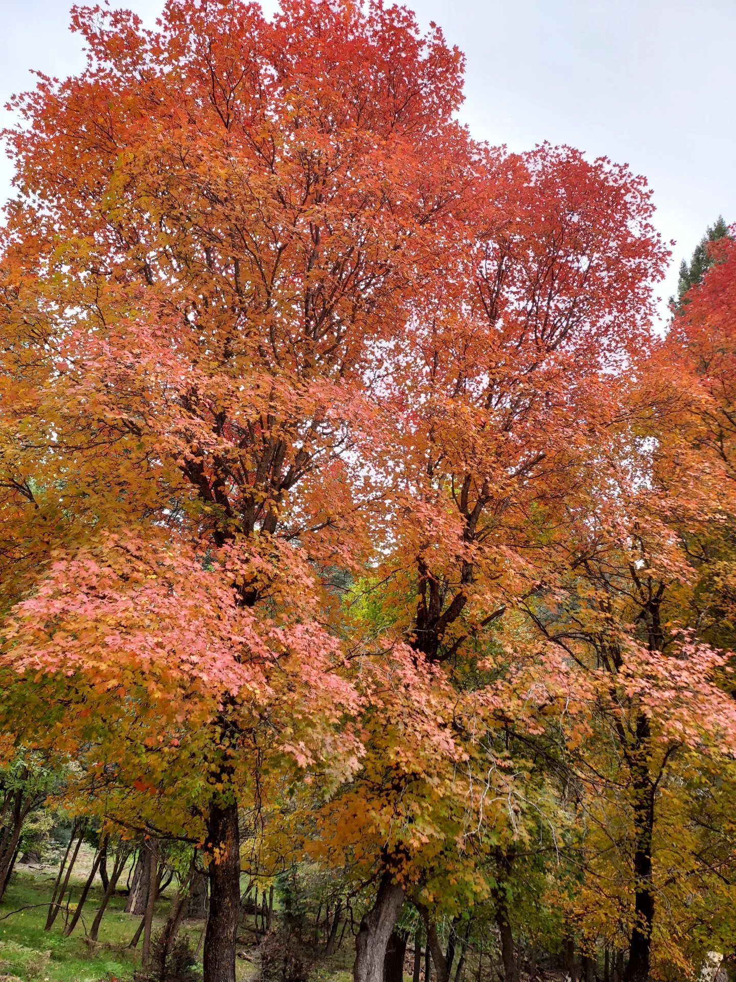 20211008_135145.webp